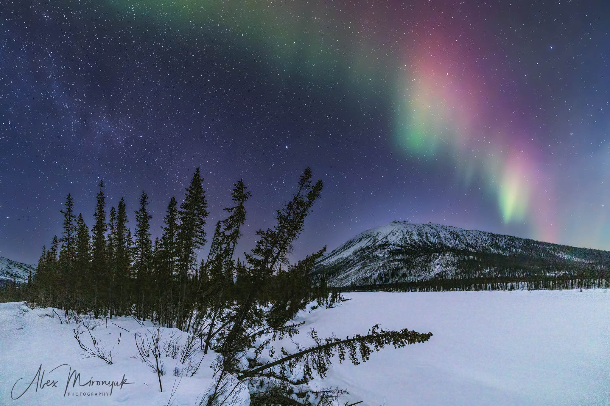 Chasing the Aurora Borealis. Alex Mironyuk Photography