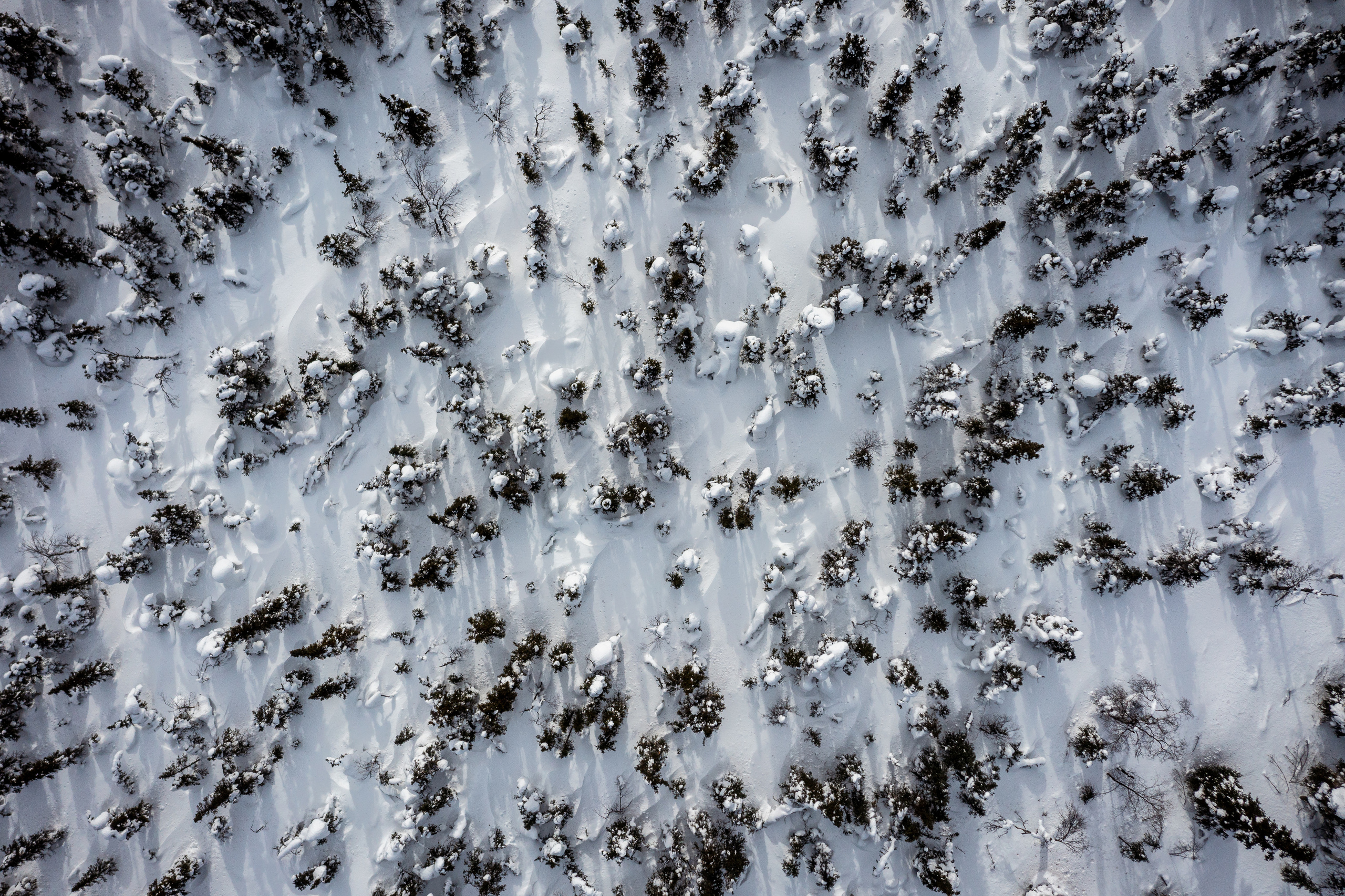 Chasing the Aurora Borealis. Alex Mironyuk Photography