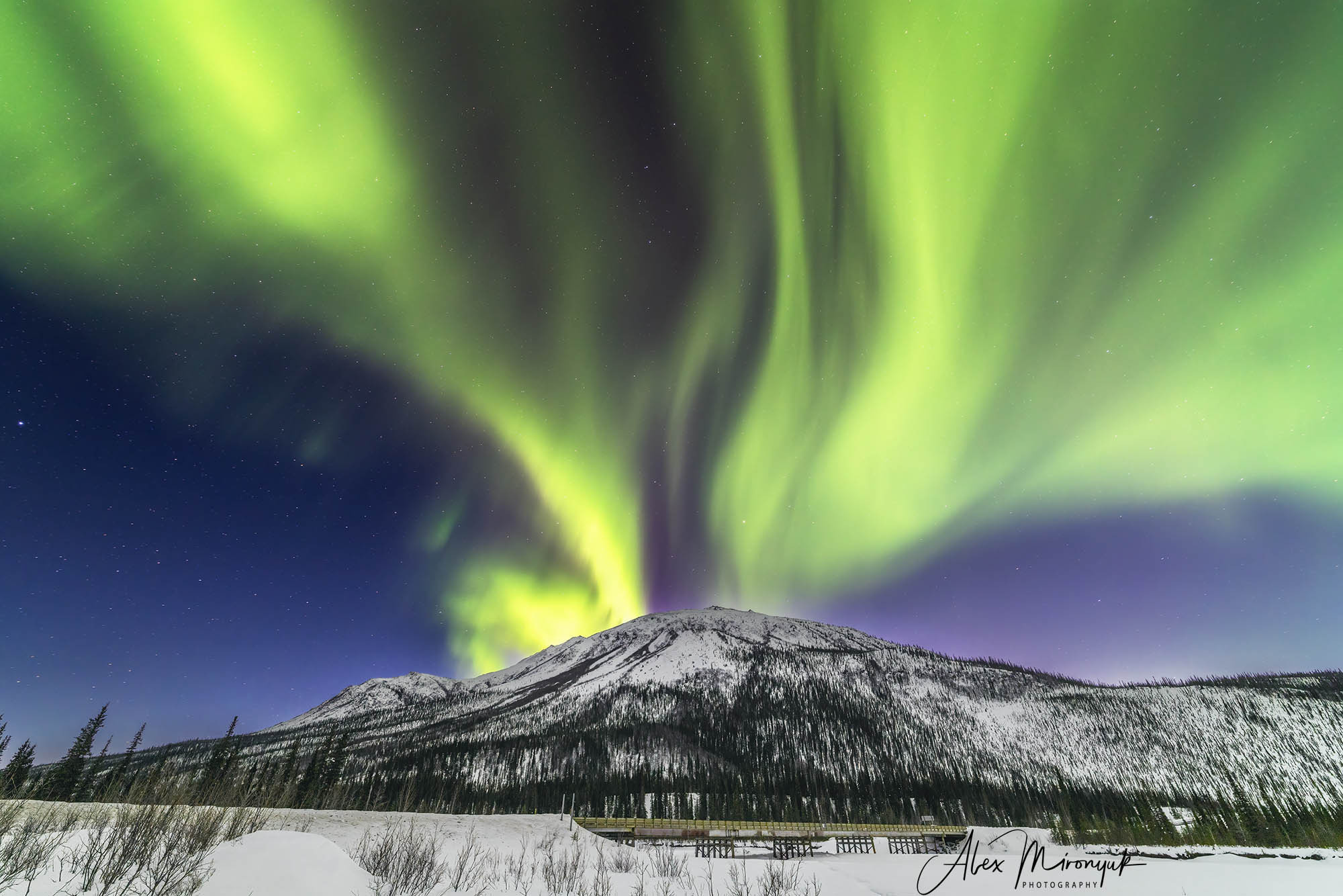 Chasing the Aurora Borealis. Alex Mironyuk Photography