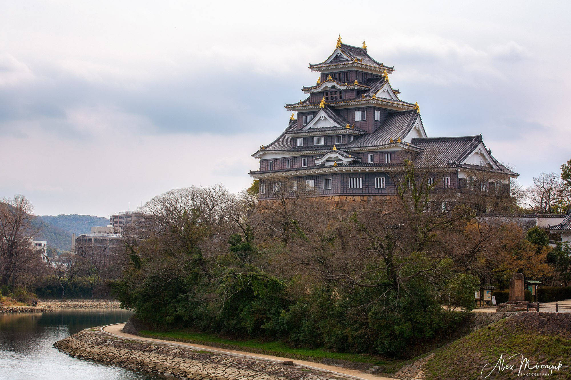 Hanami Season in Japan. Pet, Senior, Landscape, portrait studio, photographer in Miami and Sou