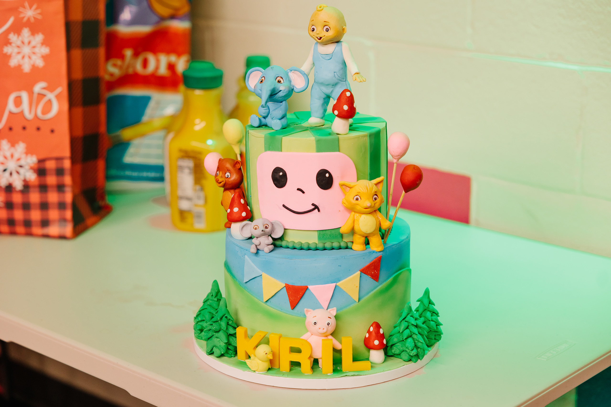 12.18.2021 Birthday Party. Wedding family event photographer in Chicago Nick Yushevich