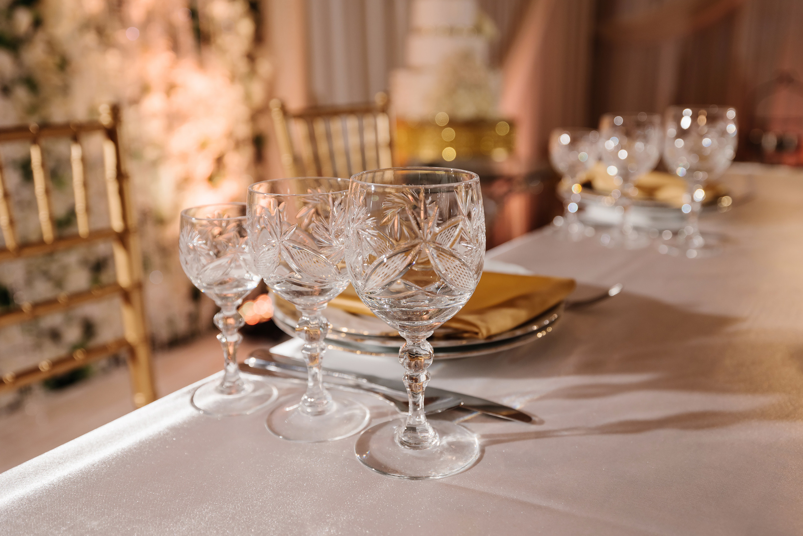 12.17.2021 Wedding. Wedding family event photographer in Chicago Nick Yushevich