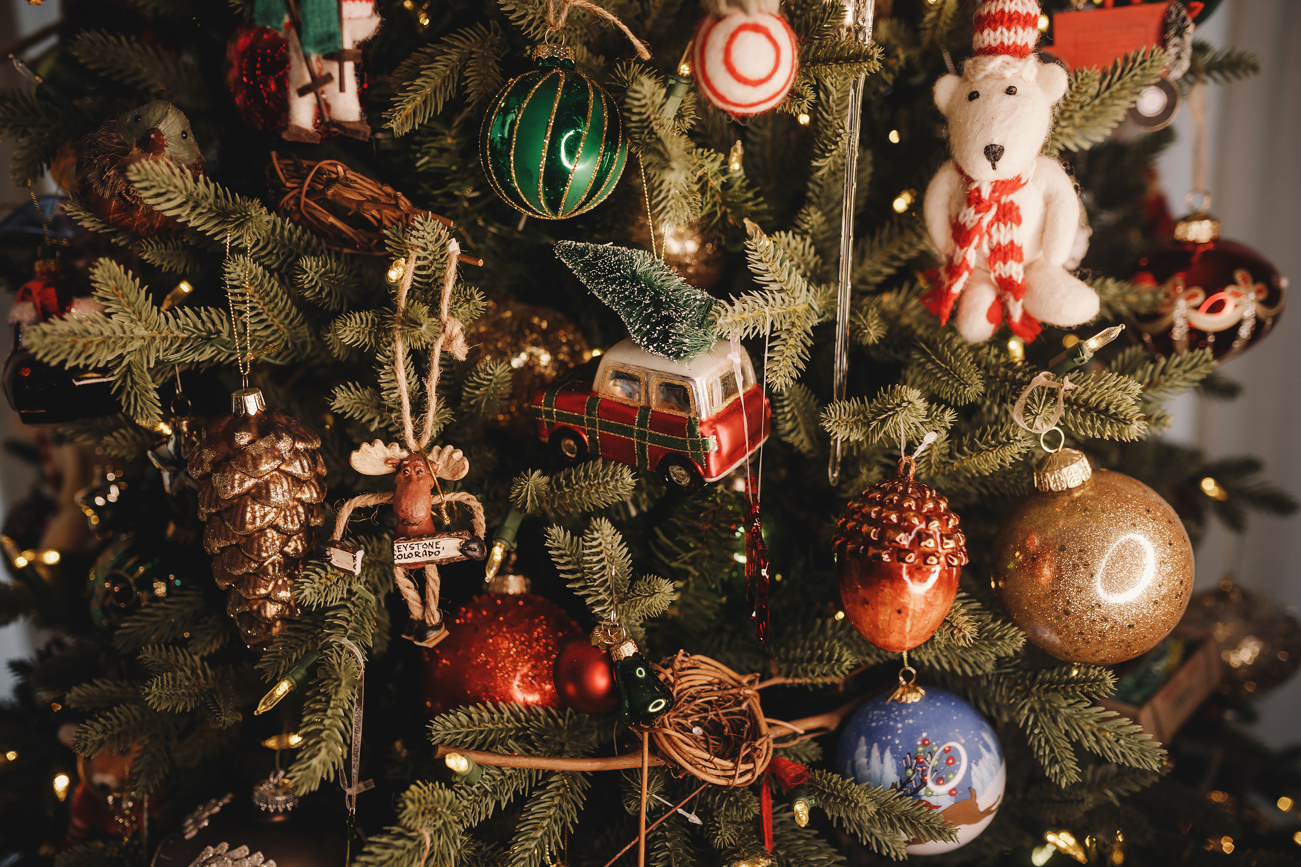 01302022 Christmas Photoshoot. Wedding family event photographer in Chicago Nick Yushevich