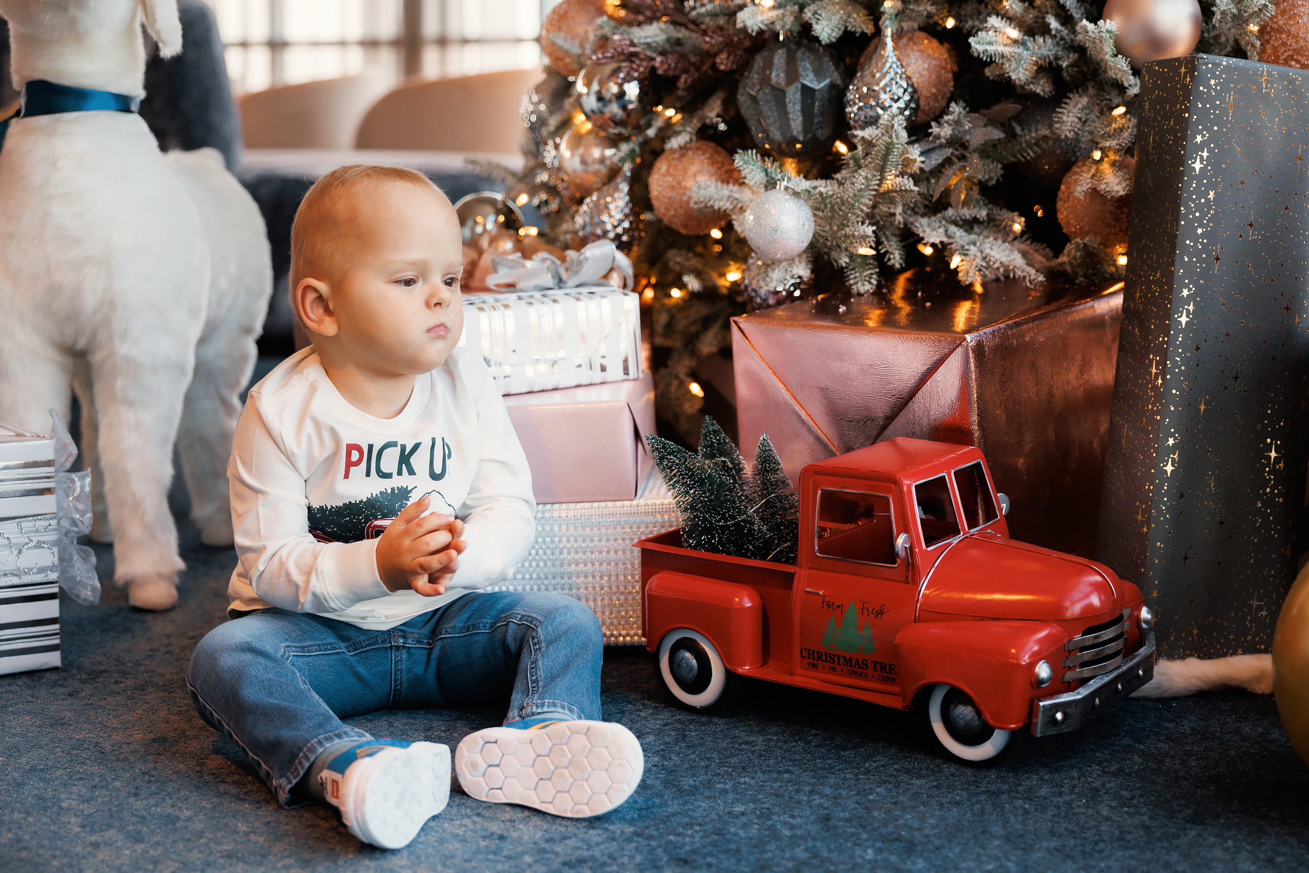 12192021 Christmas Photoshoot. Wedding family event photographer in Chicago Nick Yushevich