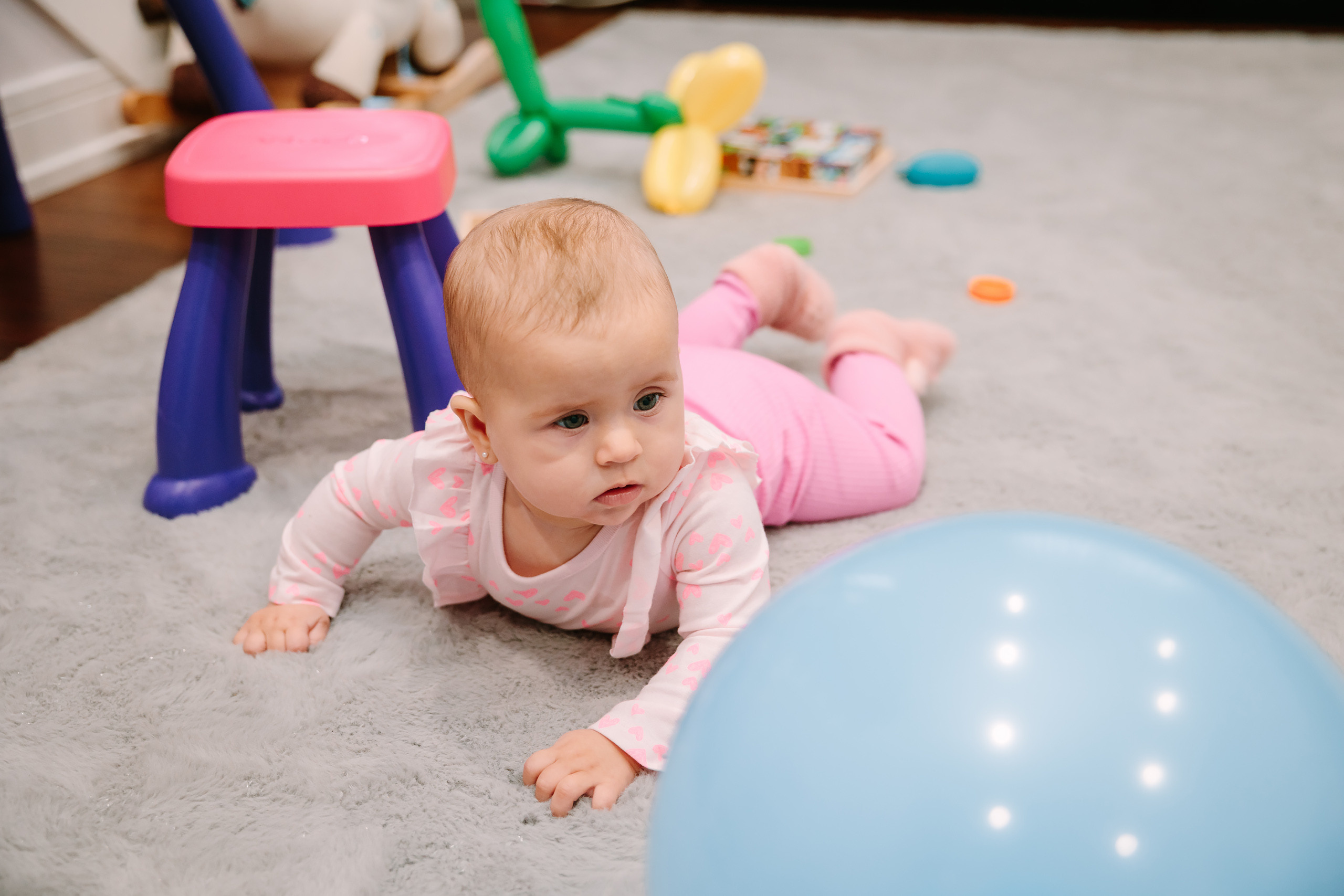 02122022 Gender reveal party. Wedding family event photographer in Chicago Nick Yushevich