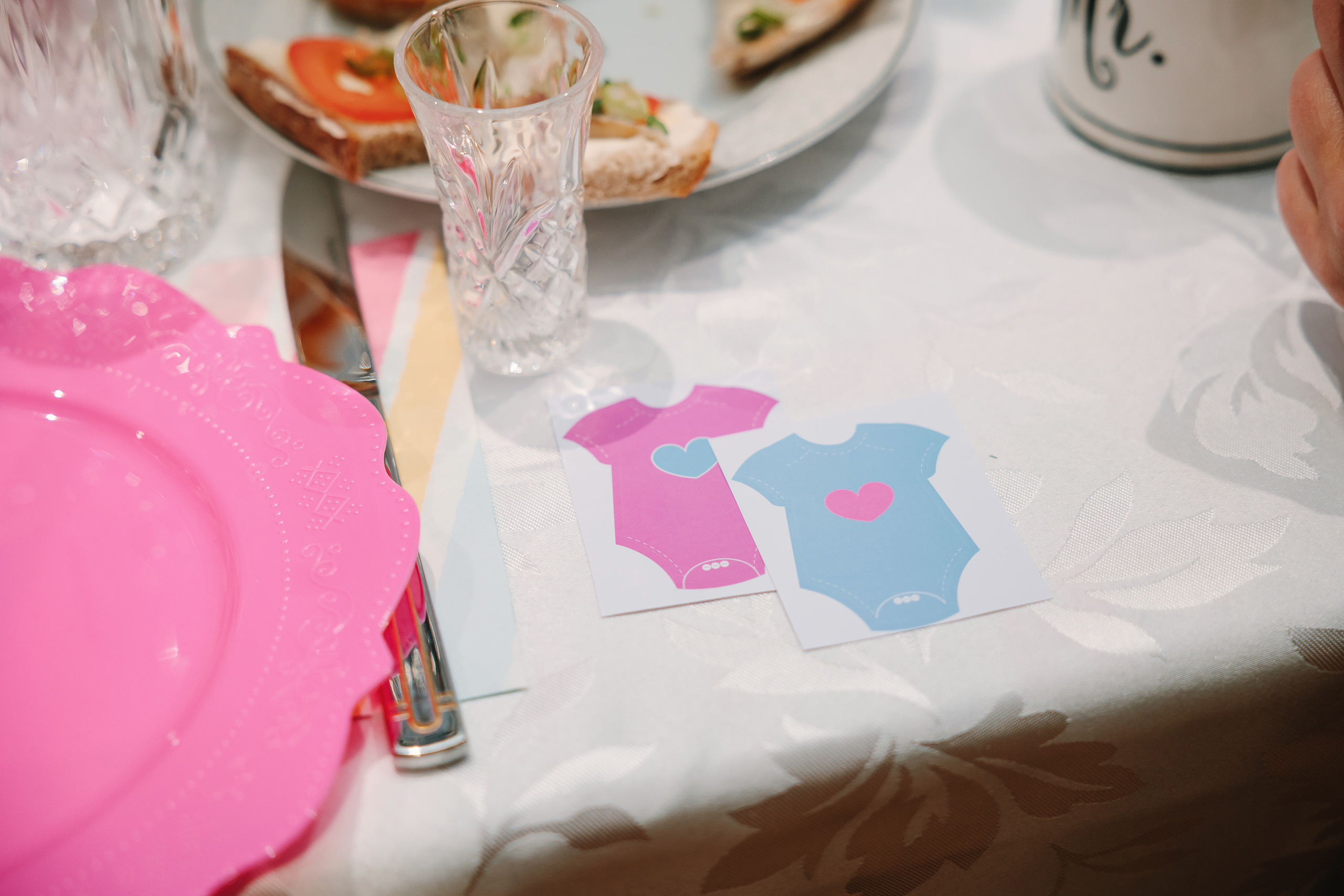 02122022 Gender reveal party. Wedding family event photographer in Chicago Nick Yushevich