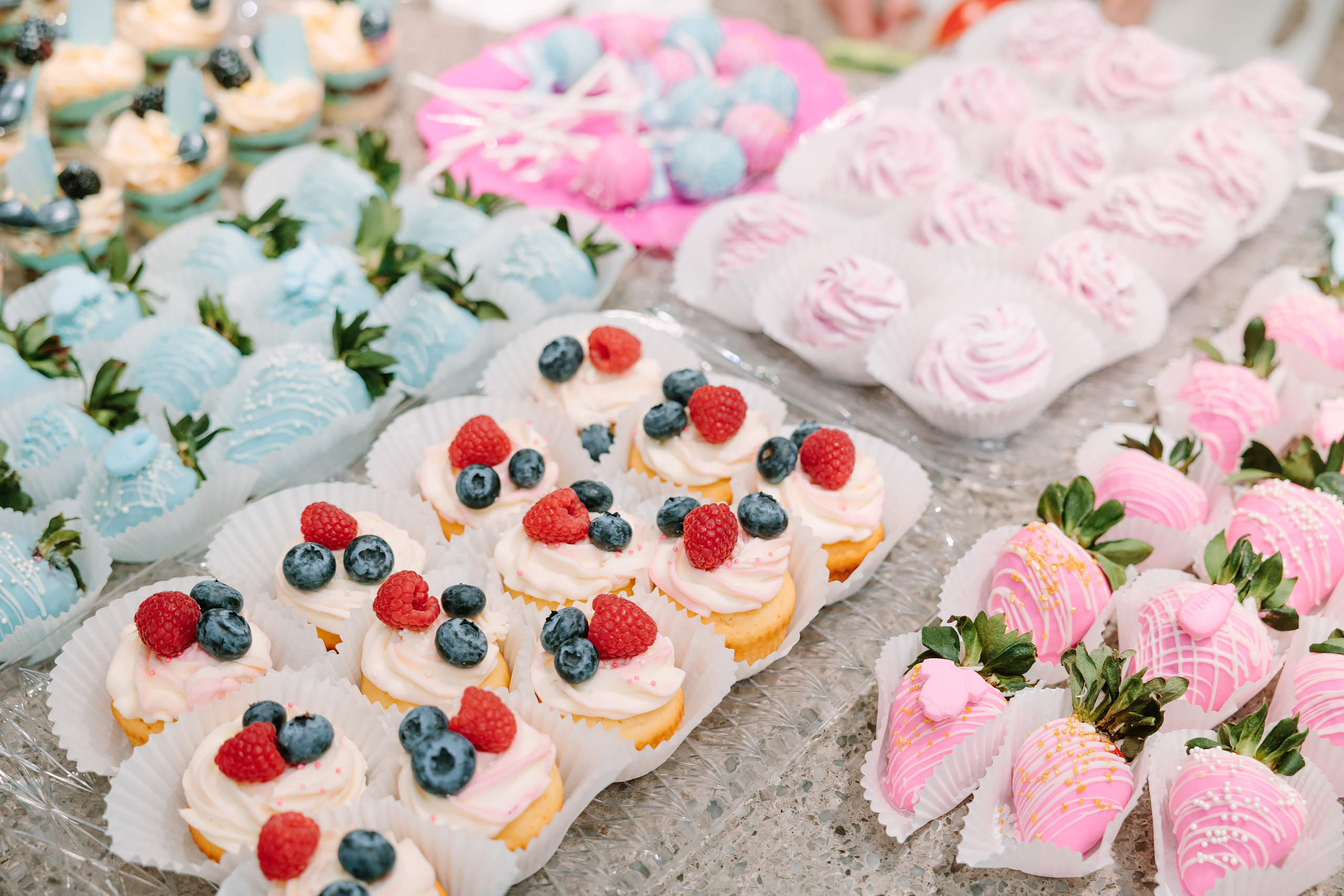 02122022 Gender reveal party. Wedding family event photographer in Chicago Nick Yushevich