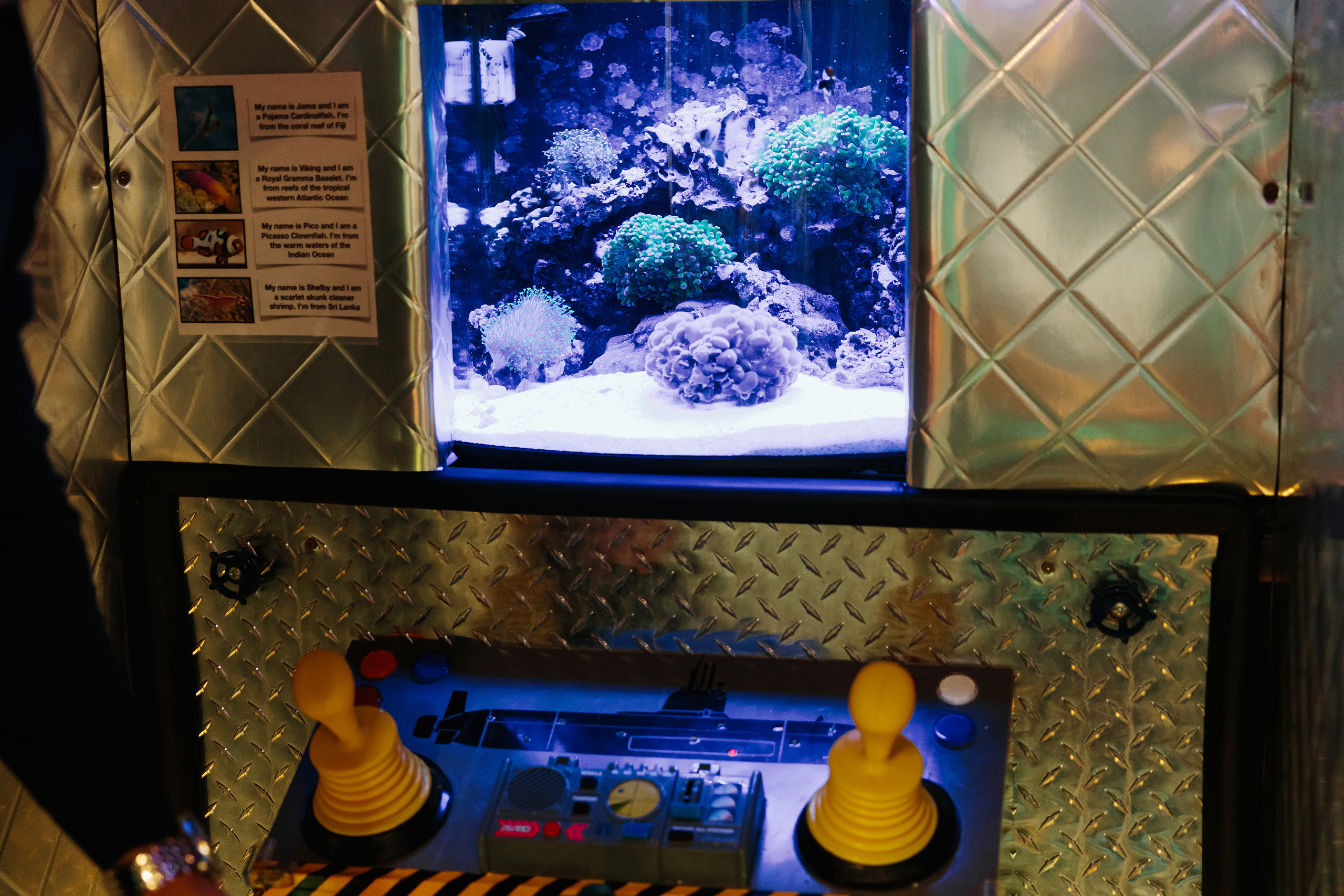 12.18.2021 Birthday Party. Wedding family event photographer in Chicago Nick Yushevich