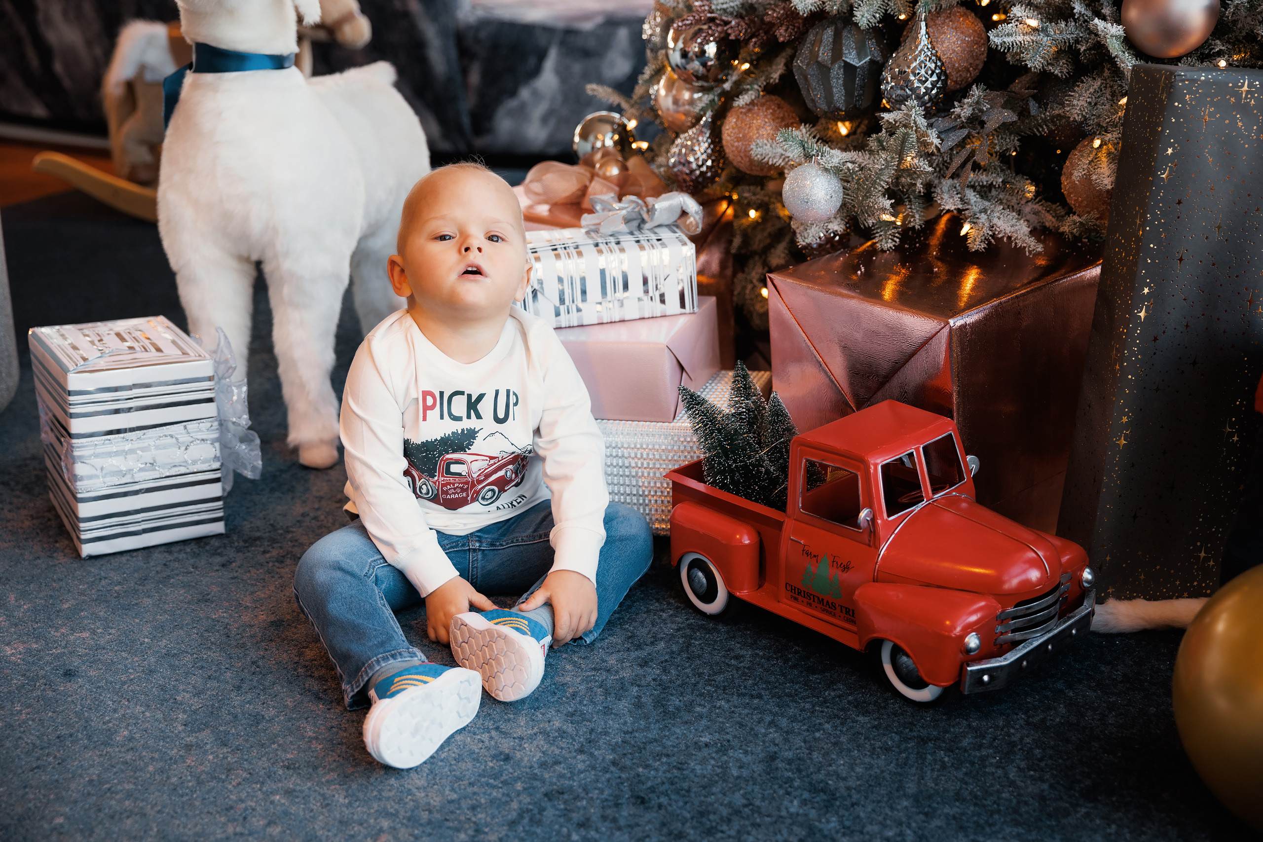 12192021 Christmas Photoshoot. Wedding family event photographer in Chicago Nick Yushevich