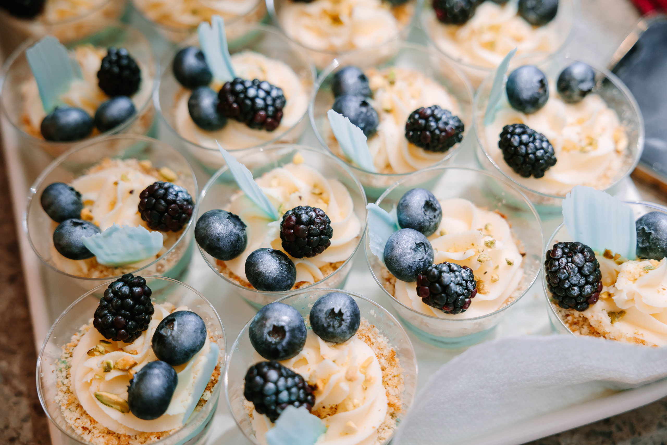 02122022 Gender reveal party. Wedding family event photographer in Chicago Nick Yushevich