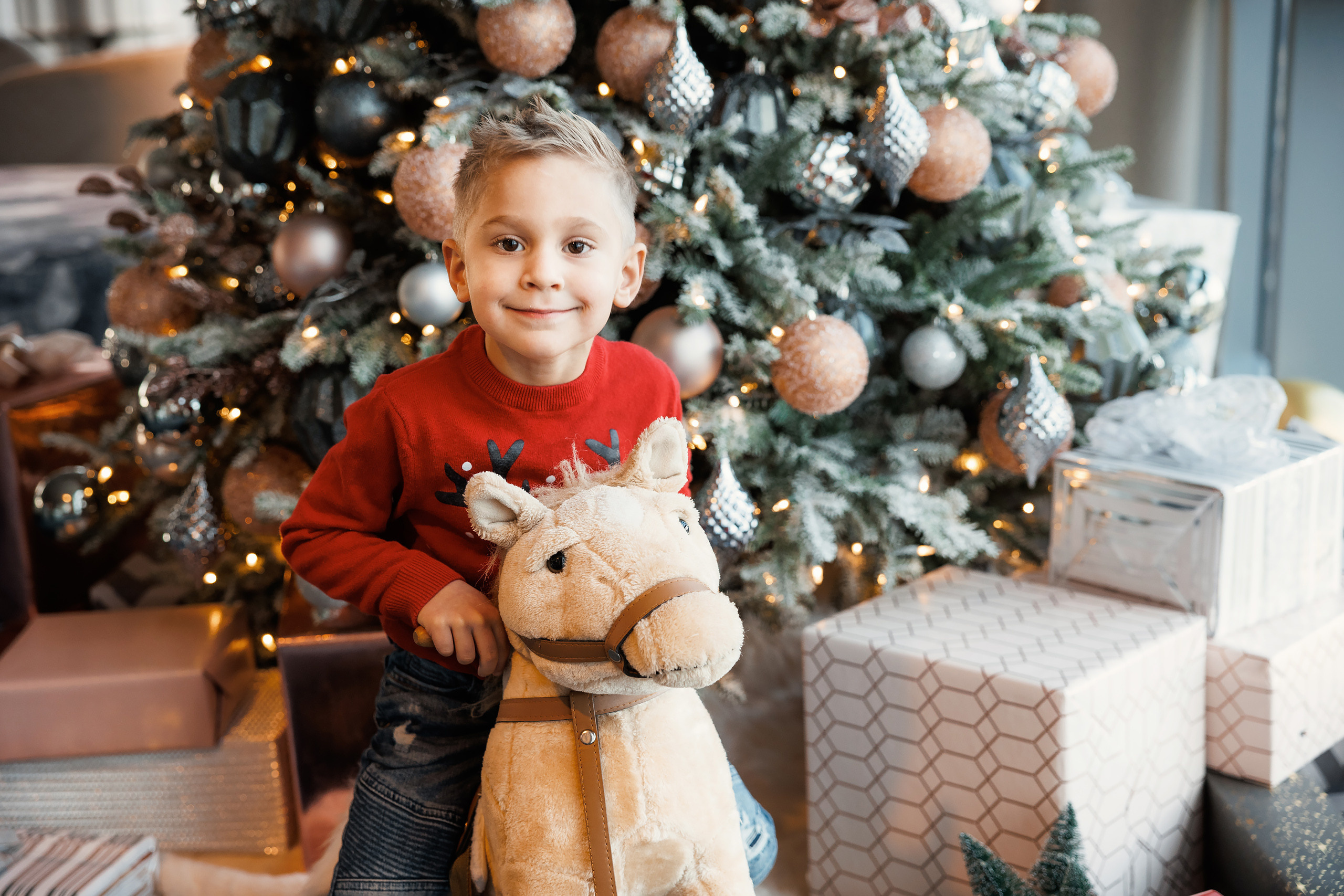 12192021 Christmas Photoshoot. Wedding family event photographer in Chicago Nick Yushevich