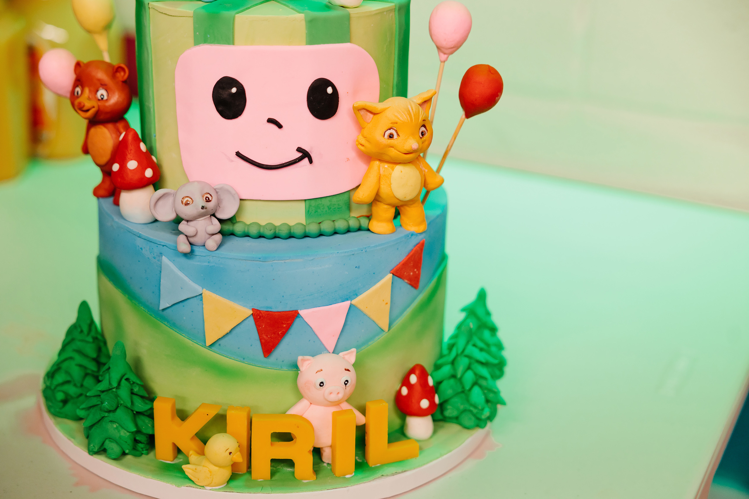 12.18.2021 Birthday Party. Wedding family event photographer in Chicago Nick Yushevich