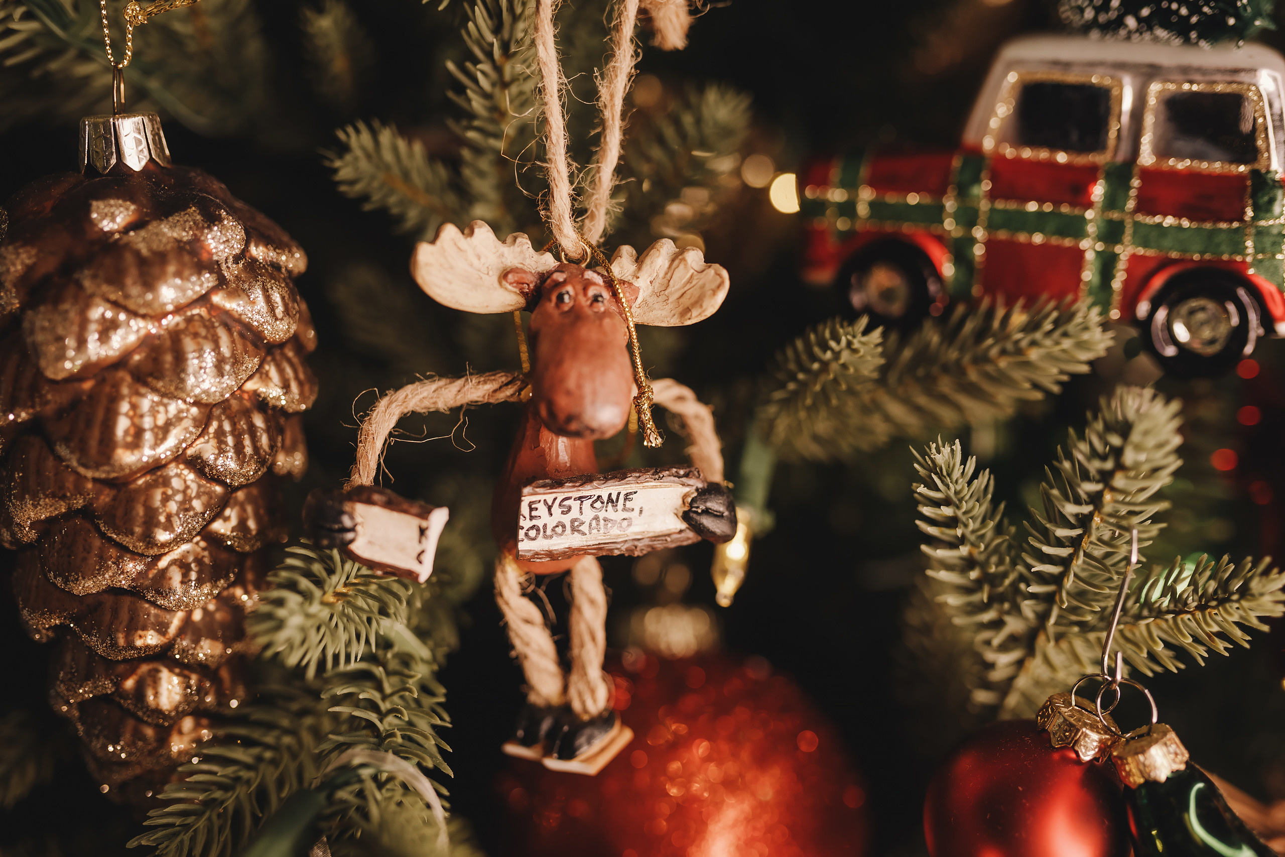 01302022 Christmas Photoshoot. Wedding family event photographer in Chicago Nick Yushevich