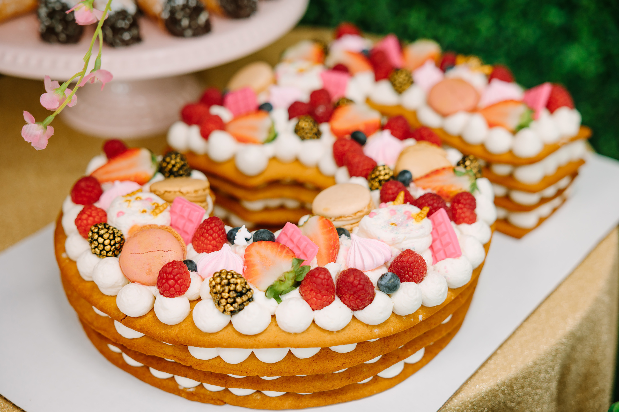 02.19.2022 Birthday Party. Wedding family event photographer in Chicago Nick Yushevich