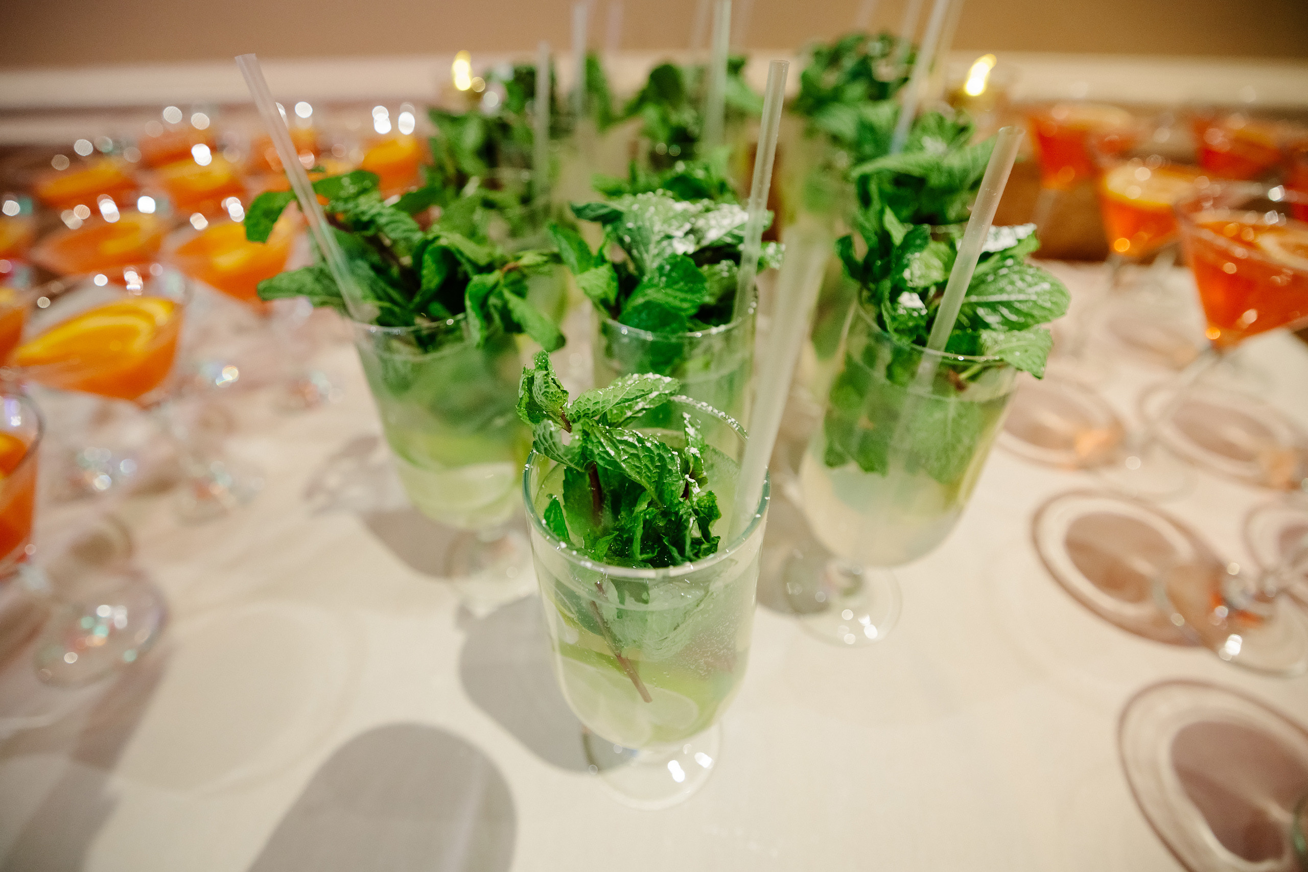 03.26.2022 Birthday Party. Wedding family event photographer in Chicago Nick Yushevich