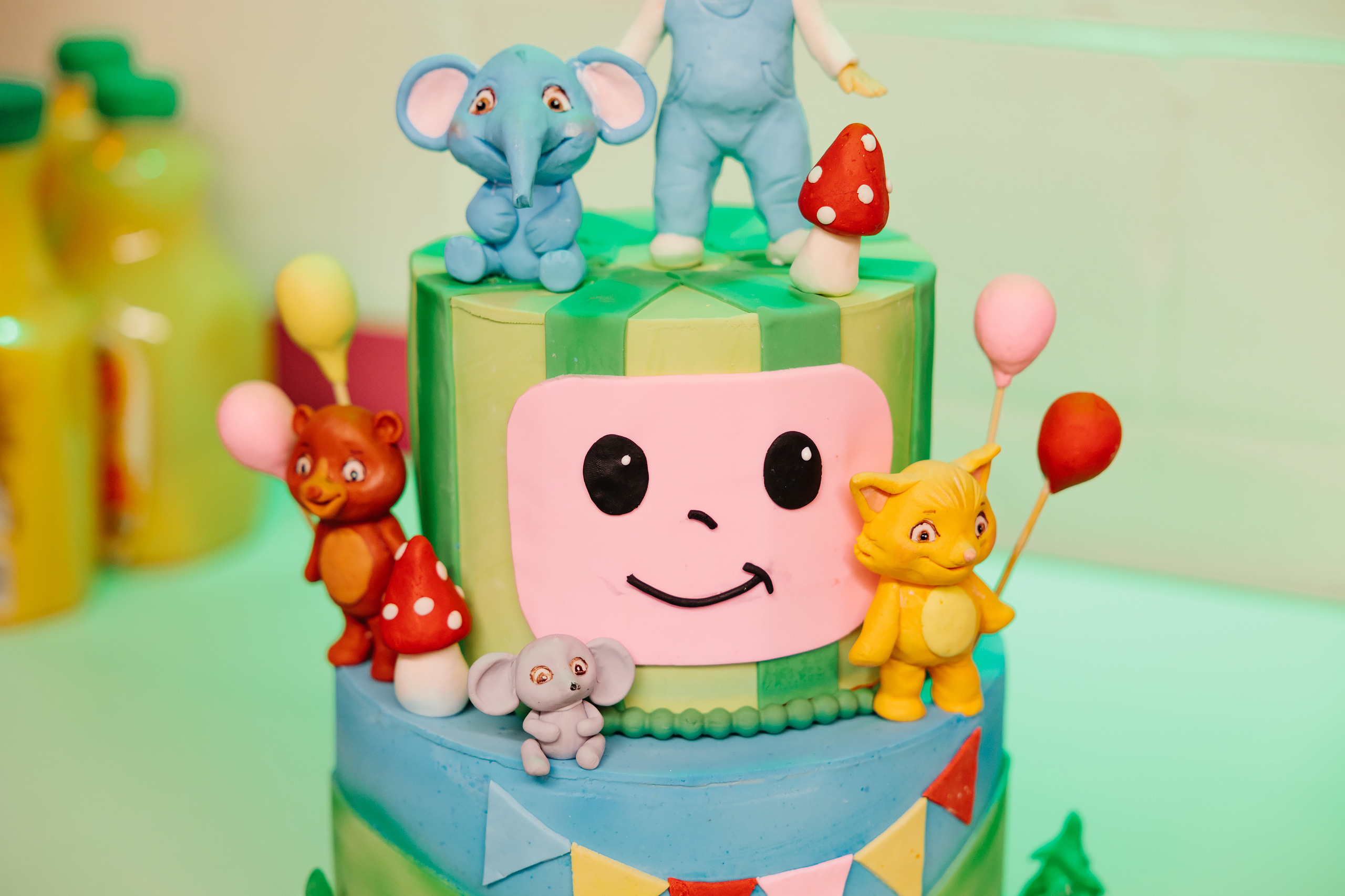 12.18.2021 Birthday Party. Wedding family event photographer in Chicago Nick Yushevich