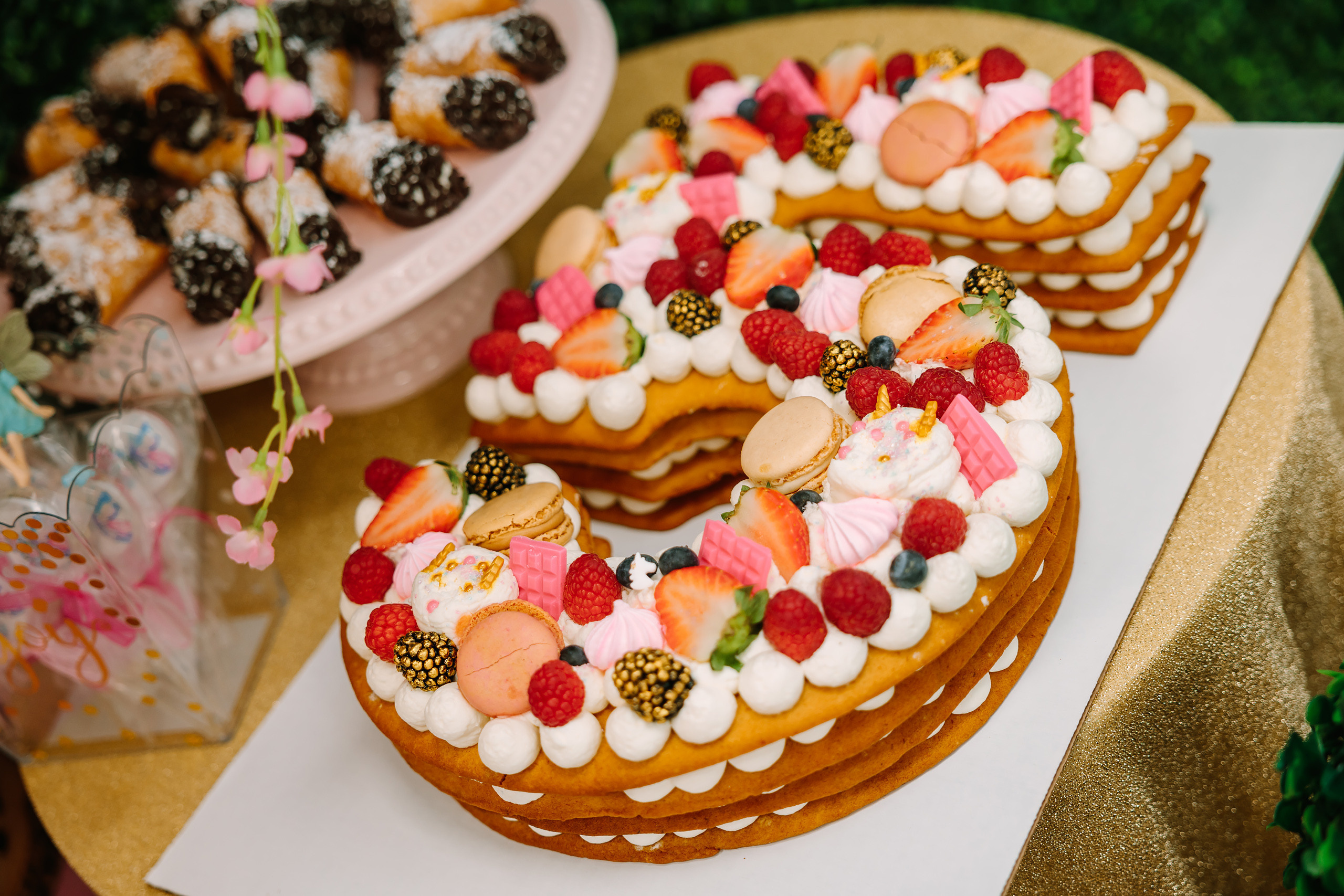 02.19.2022 Birthday Party. Wedding family event photographer in Chicago Nick Yushevich