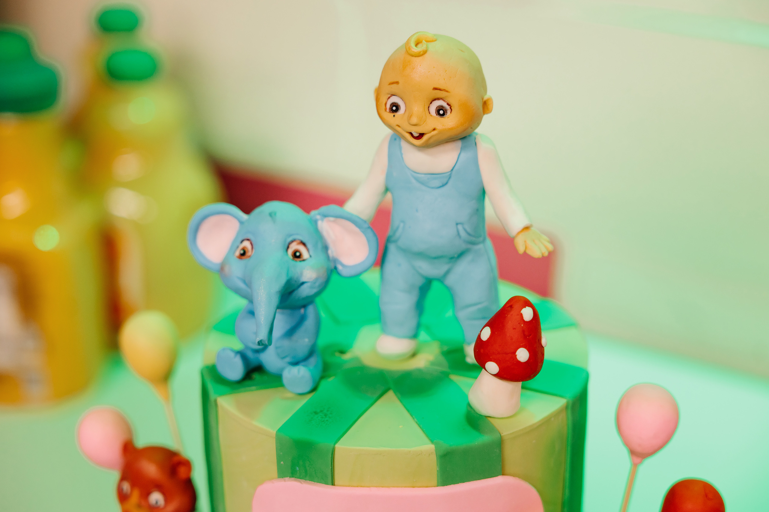 12.18.2021 Birthday Party. Wedding family event photographer in Chicago Nick Yushevich