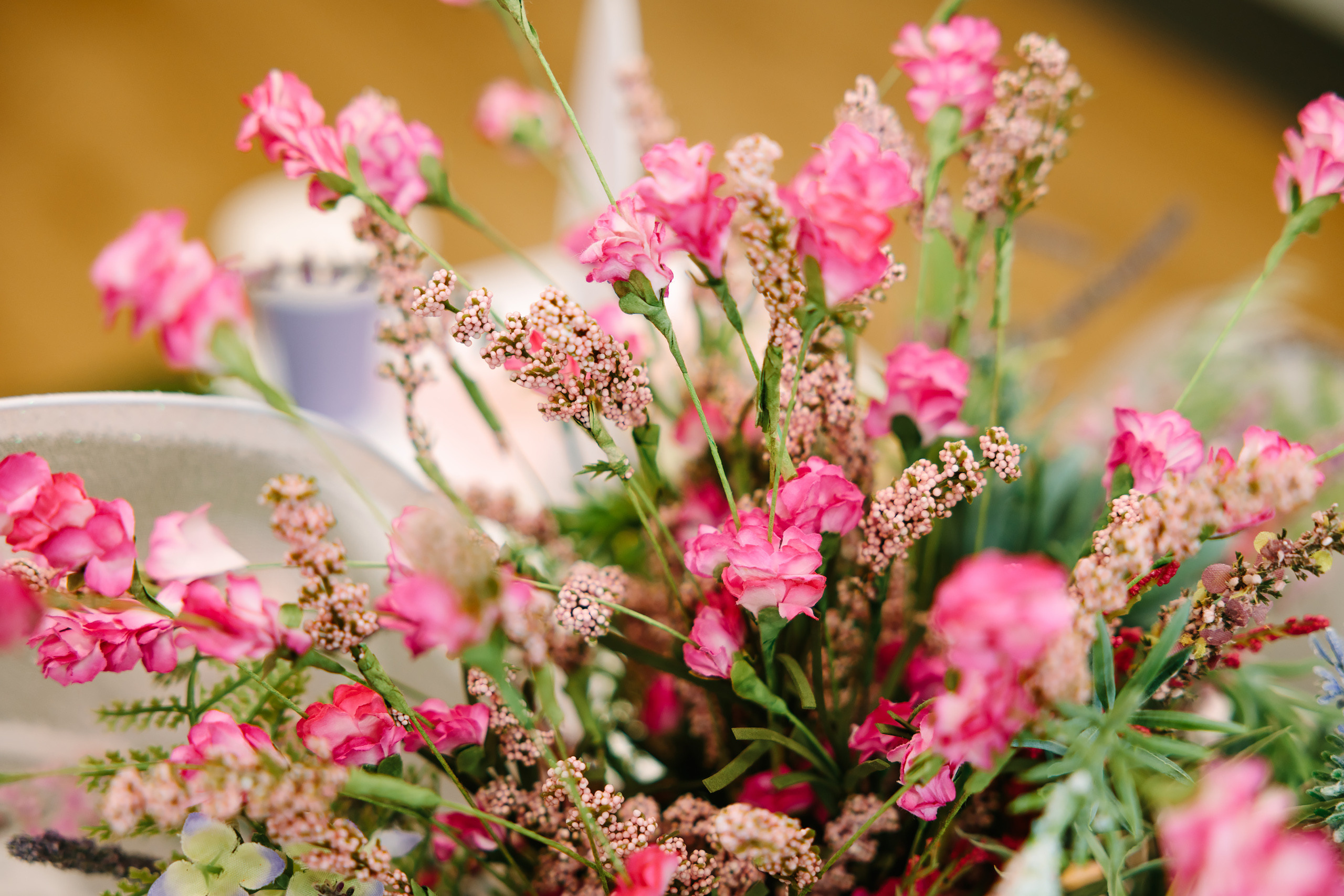 02.19.2022 Birthday Party. Wedding family event photographer in Chicago Nick Yushevich