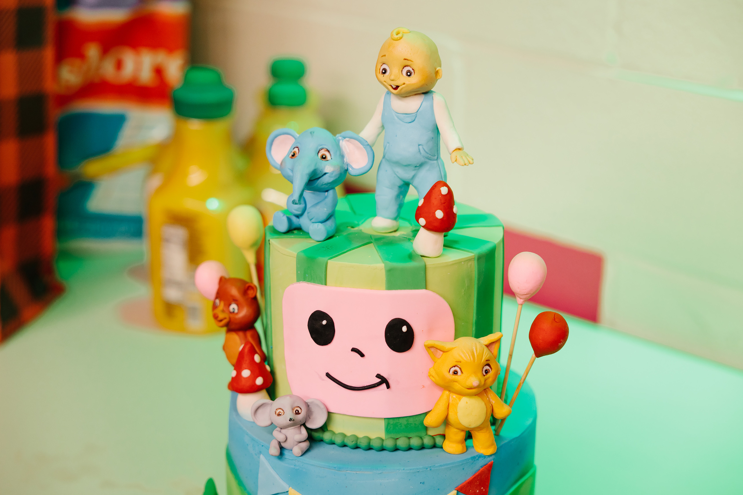 12.18.2021 Birthday Party. Wedding family event photographer in Chicago Nick Yushevich