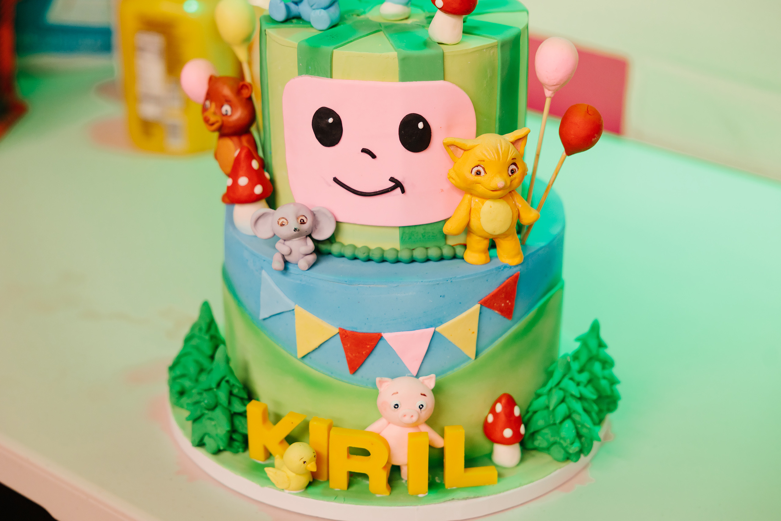 12.18.2021 Birthday Party. Wedding family event photographer in Chicago Nick Yushevich