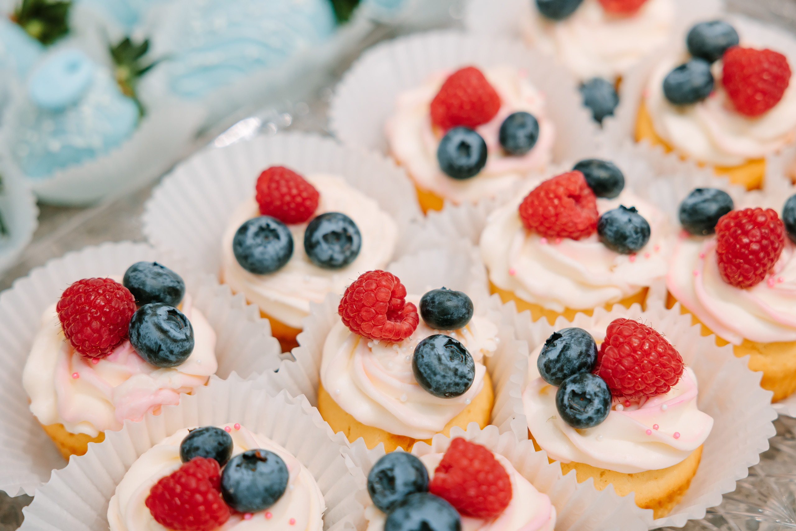 02122022 Gender reveal party. Wedding family event photographer in Chicago Nick Yushevich