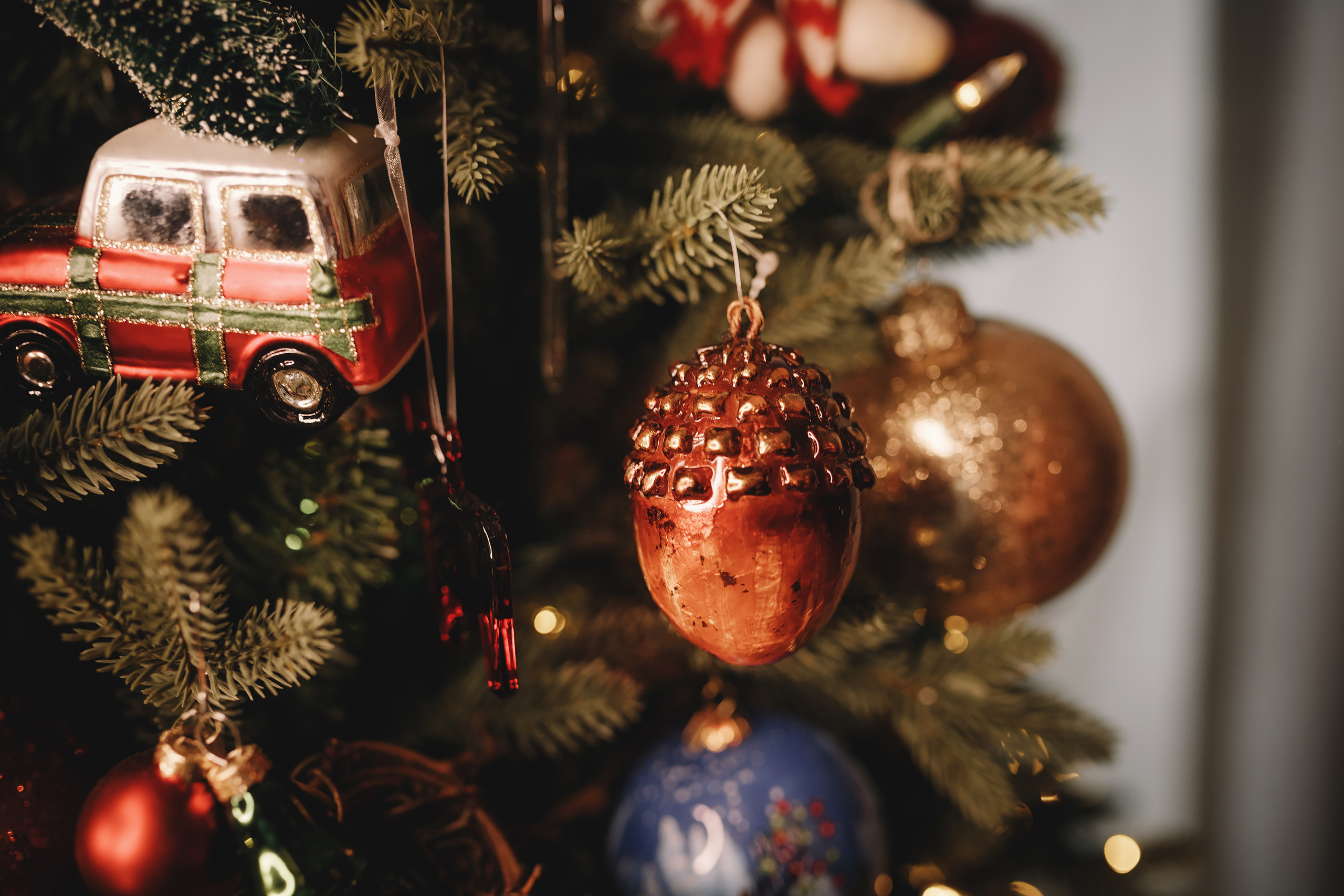 01302022 Christmas Photoshoot. Wedding family event photographer in Chicago Nick Yushevich