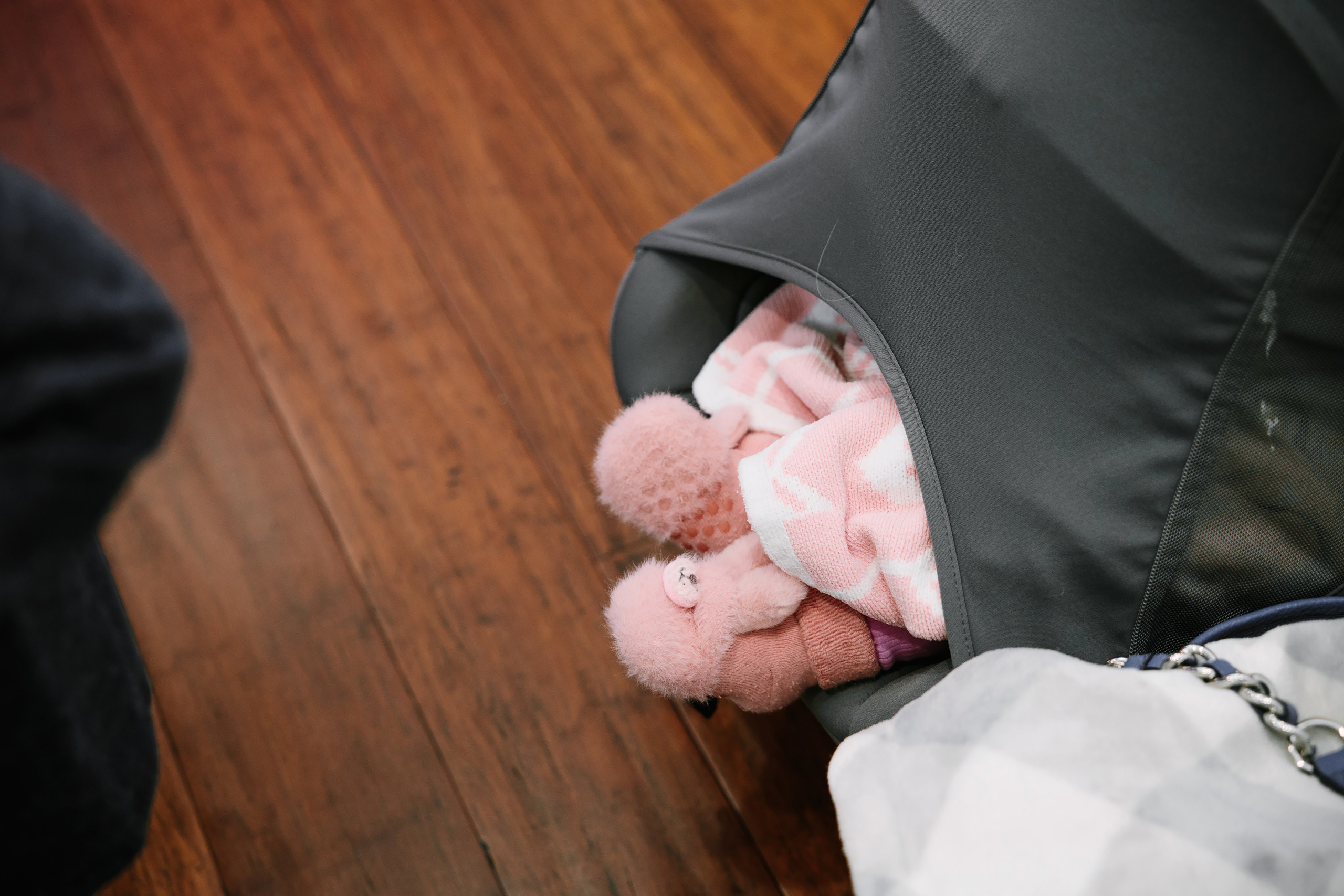 02122022 Gender reveal party. Wedding family event photographer in Chicago Nick Yushevich