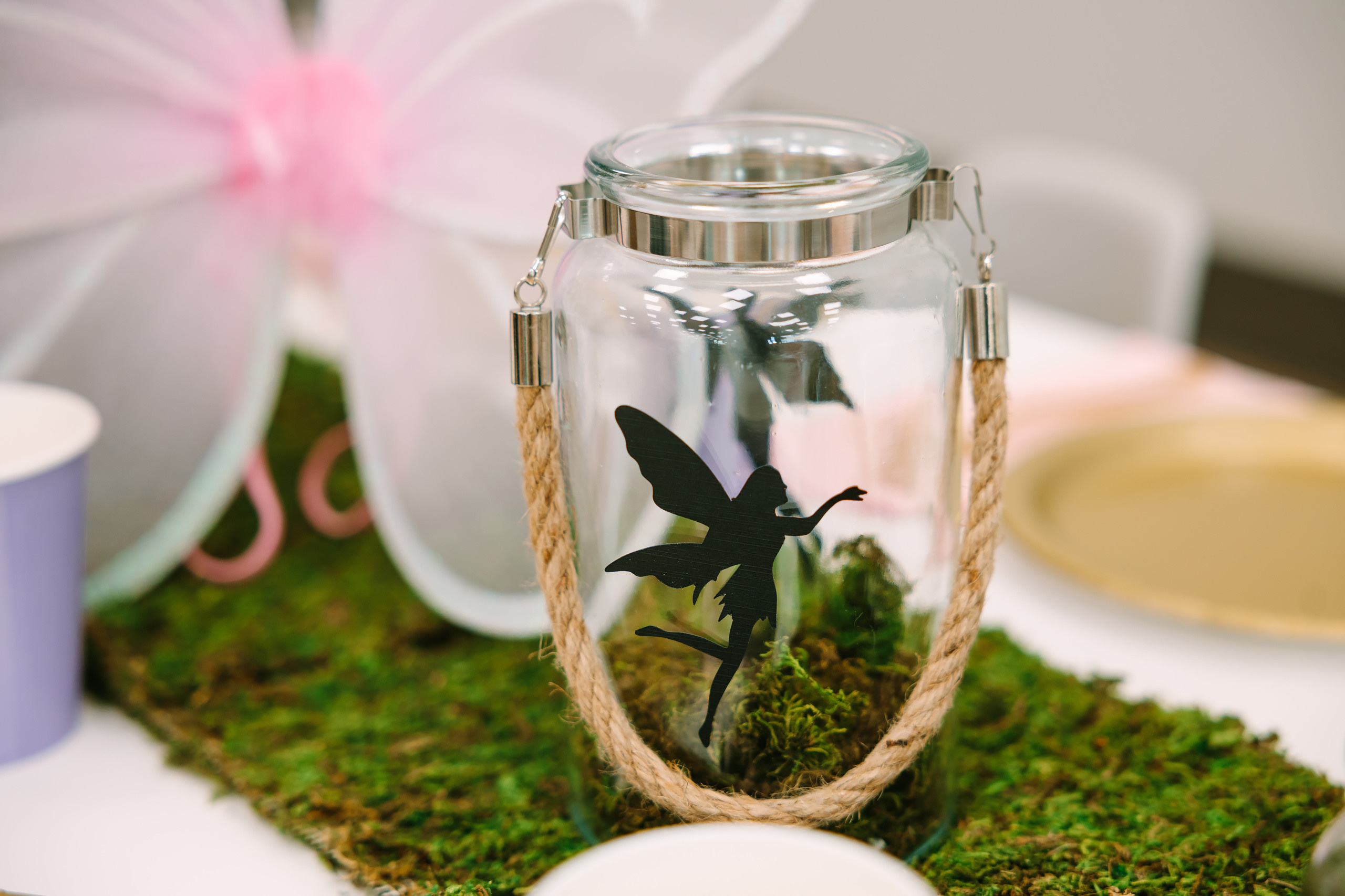 02.19.2022 Birthday Party. Wedding family event photographer in Chicago Nick Yushevich