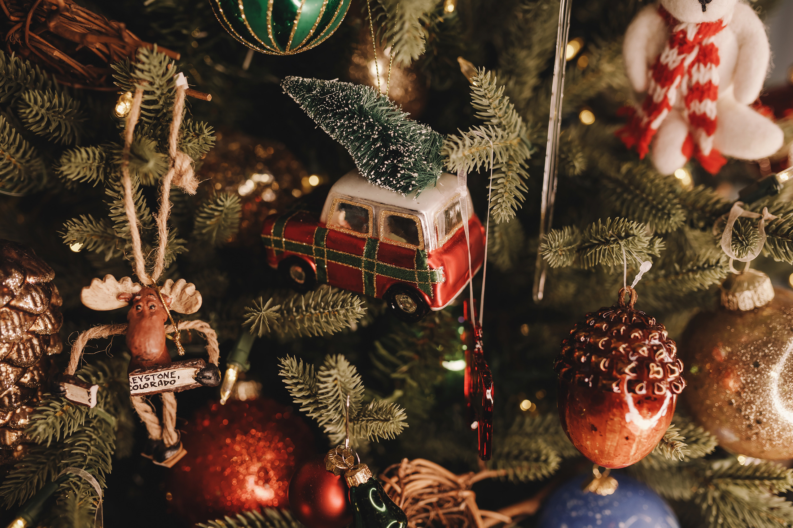 01302022 Christmas Photoshoot. Wedding family event photographer in Chicago Nick Yushevich