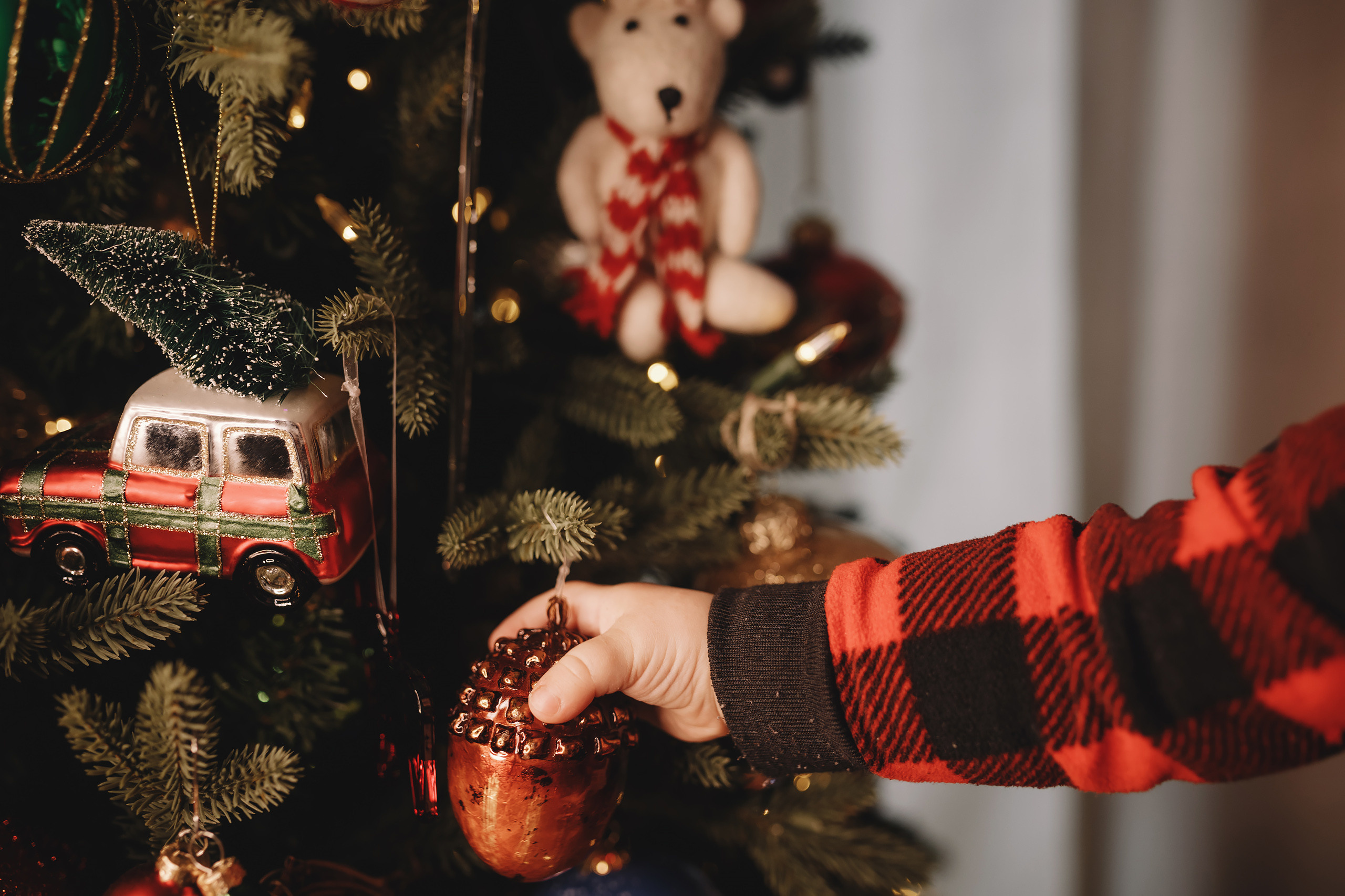 01302022 Christmas Photoshoot. Wedding family event photographer in Chicago Nick Yushevich