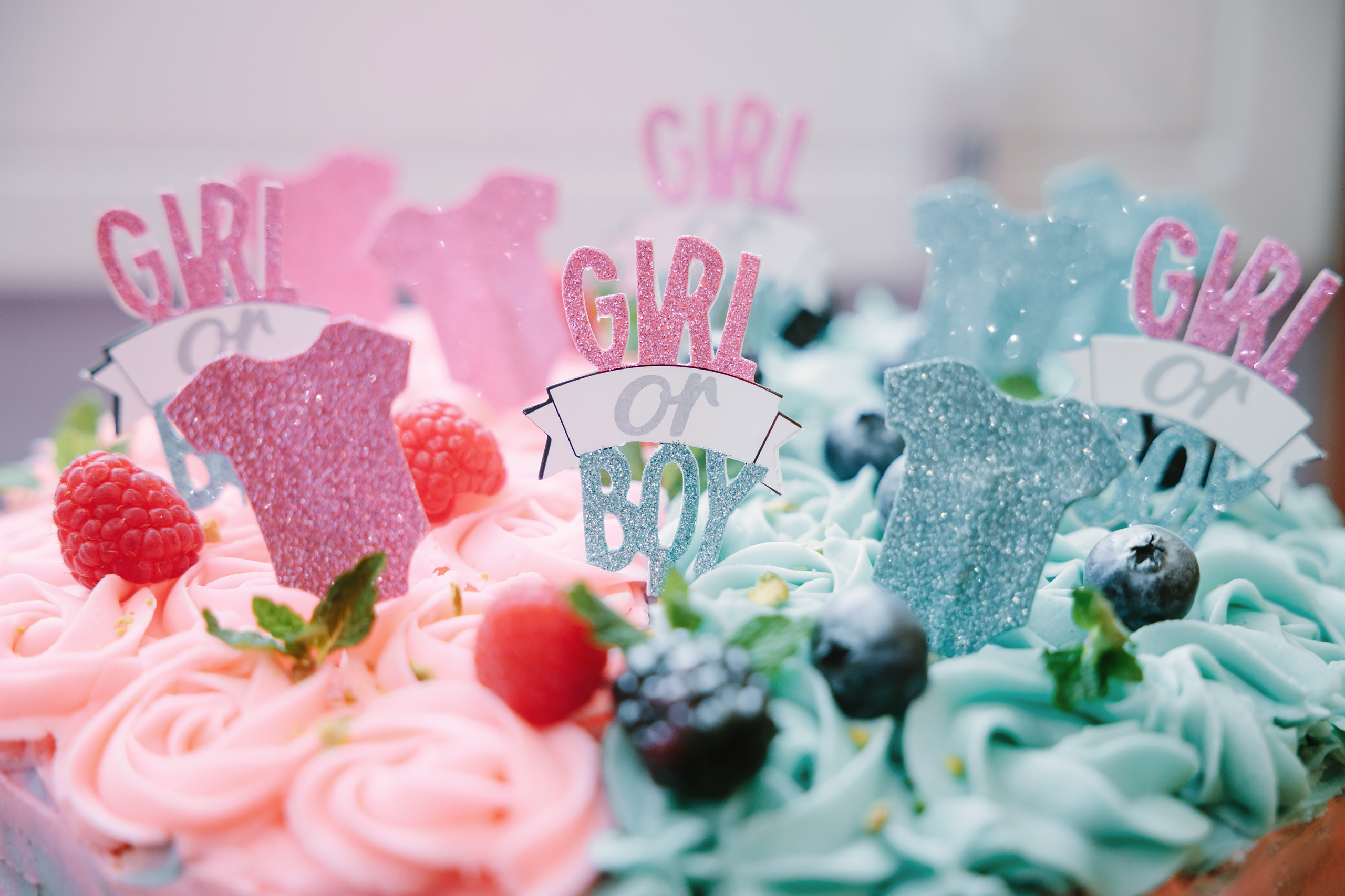 02122022 Gender reveal party. Wedding family event photographer in Chicago Nick Yushevich