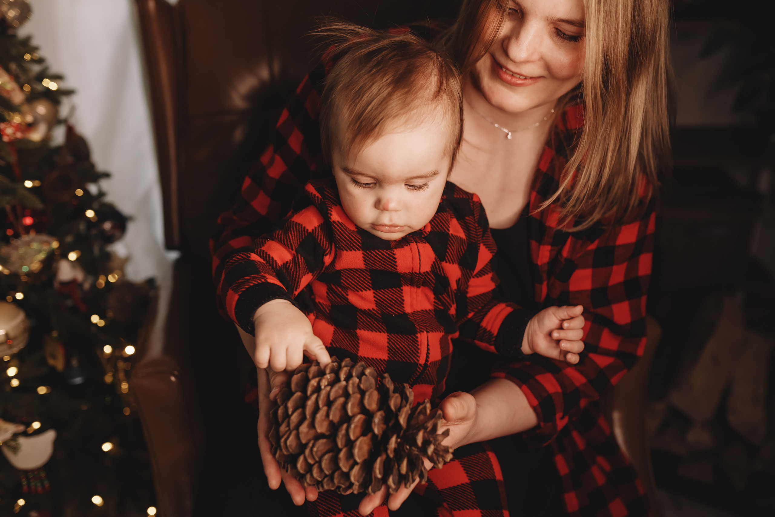 01302022 Christmas Photoshoot. Wedding family event photographer in Chicago Nick Yushevich