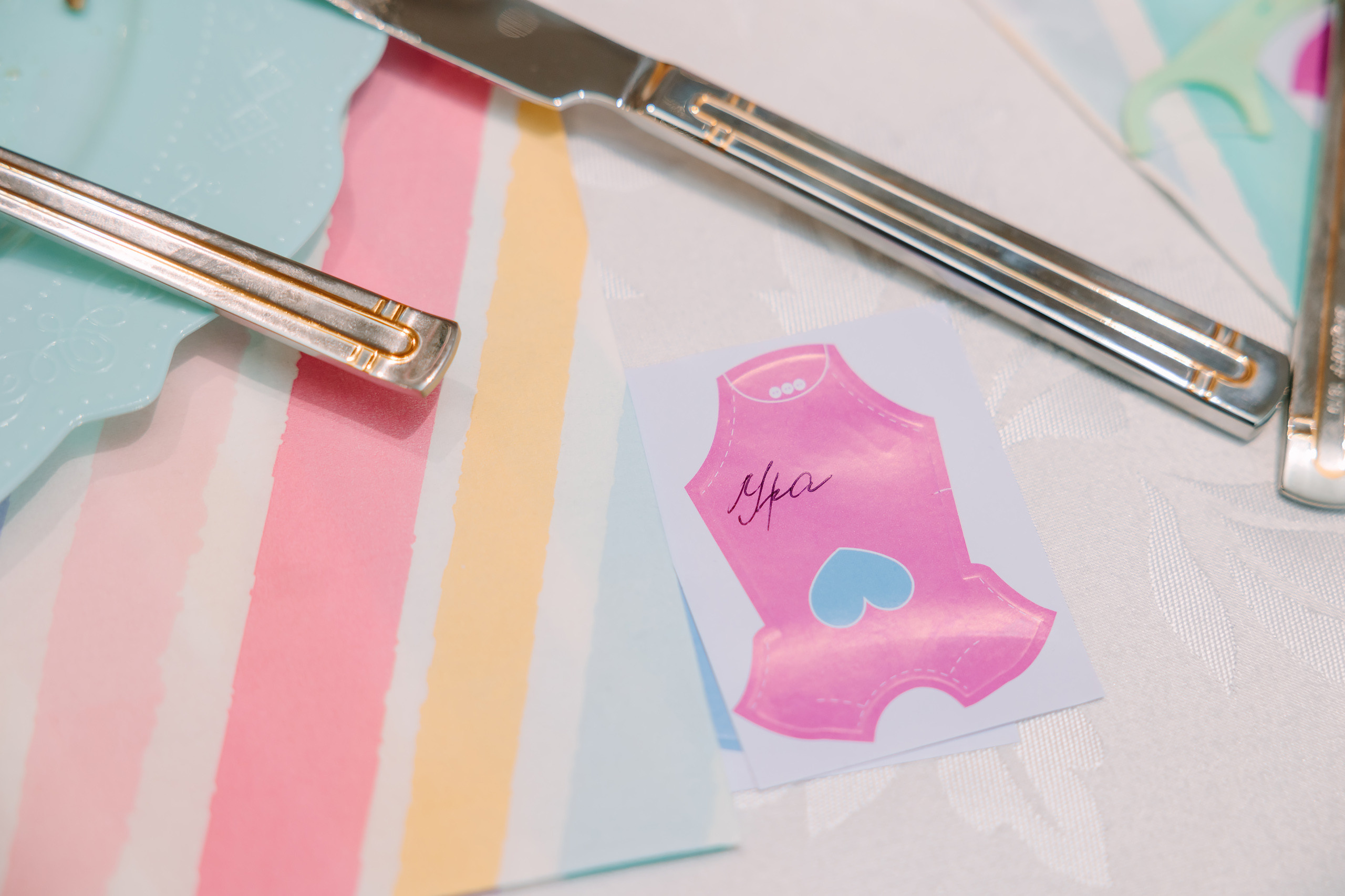 02122022 Gender reveal party. Wedding family event photographer in Chicago Nick Yushevich