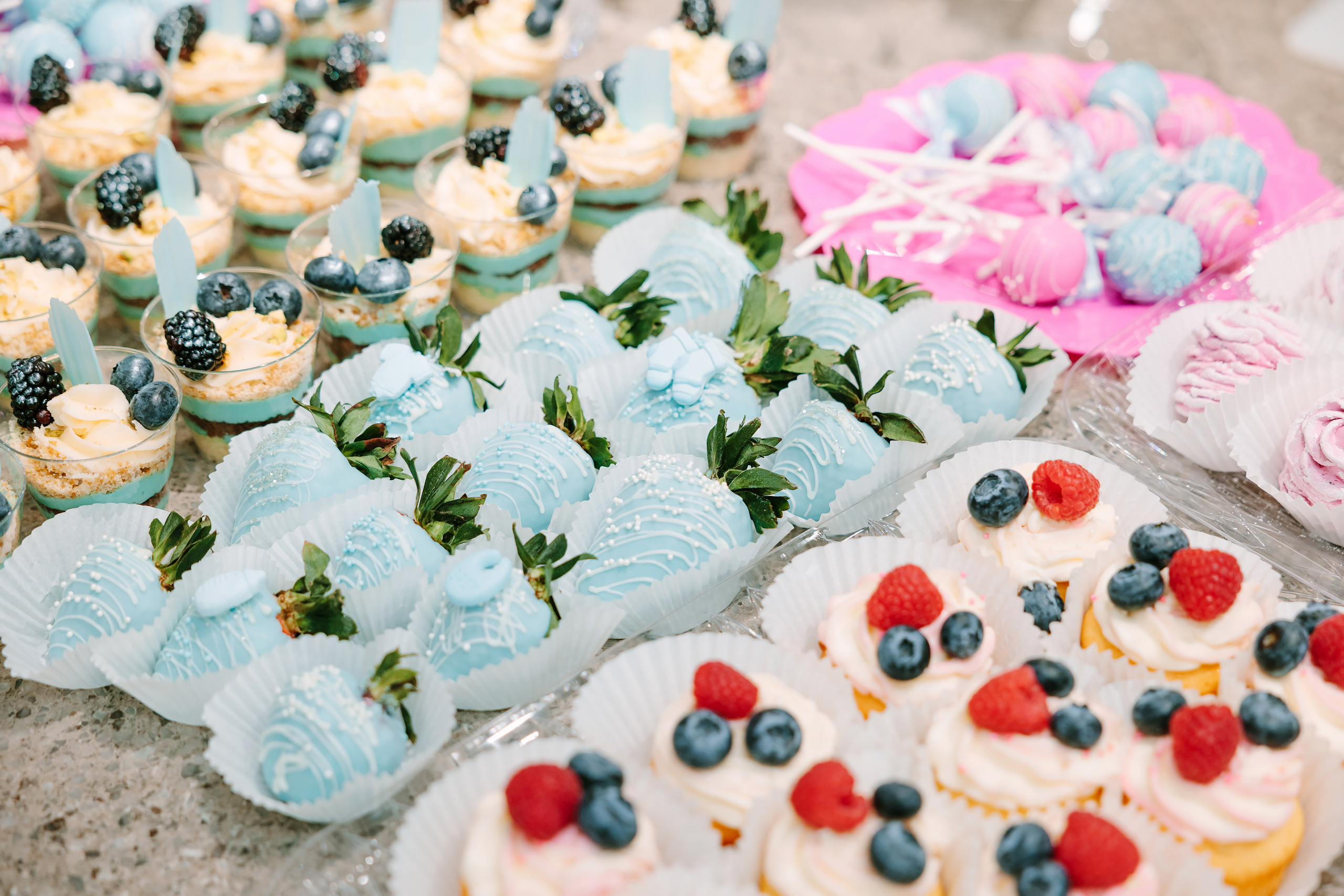 02122022 Gender reveal party. Wedding family event photographer in Chicago Nick Yushevich