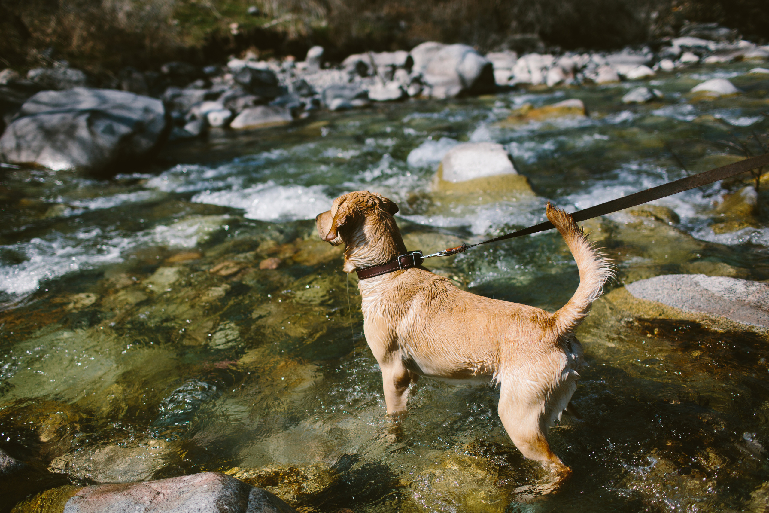 Лав стори в Бишкеке. Фотограф в Бишкеке Оксана Шувалова