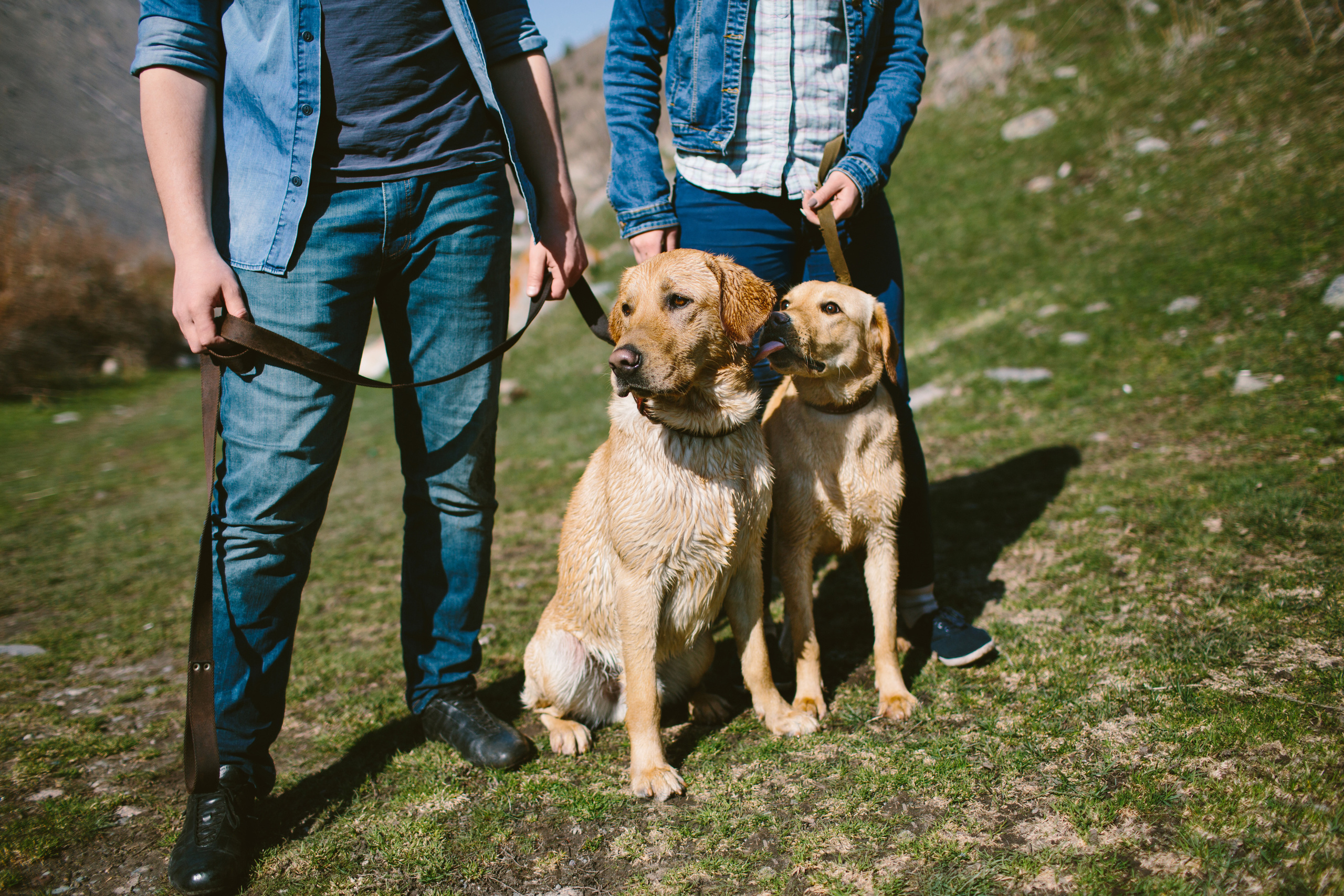 Лав стори в Бишкеке. Фотограф в Бишкеке Оксана Шувалова