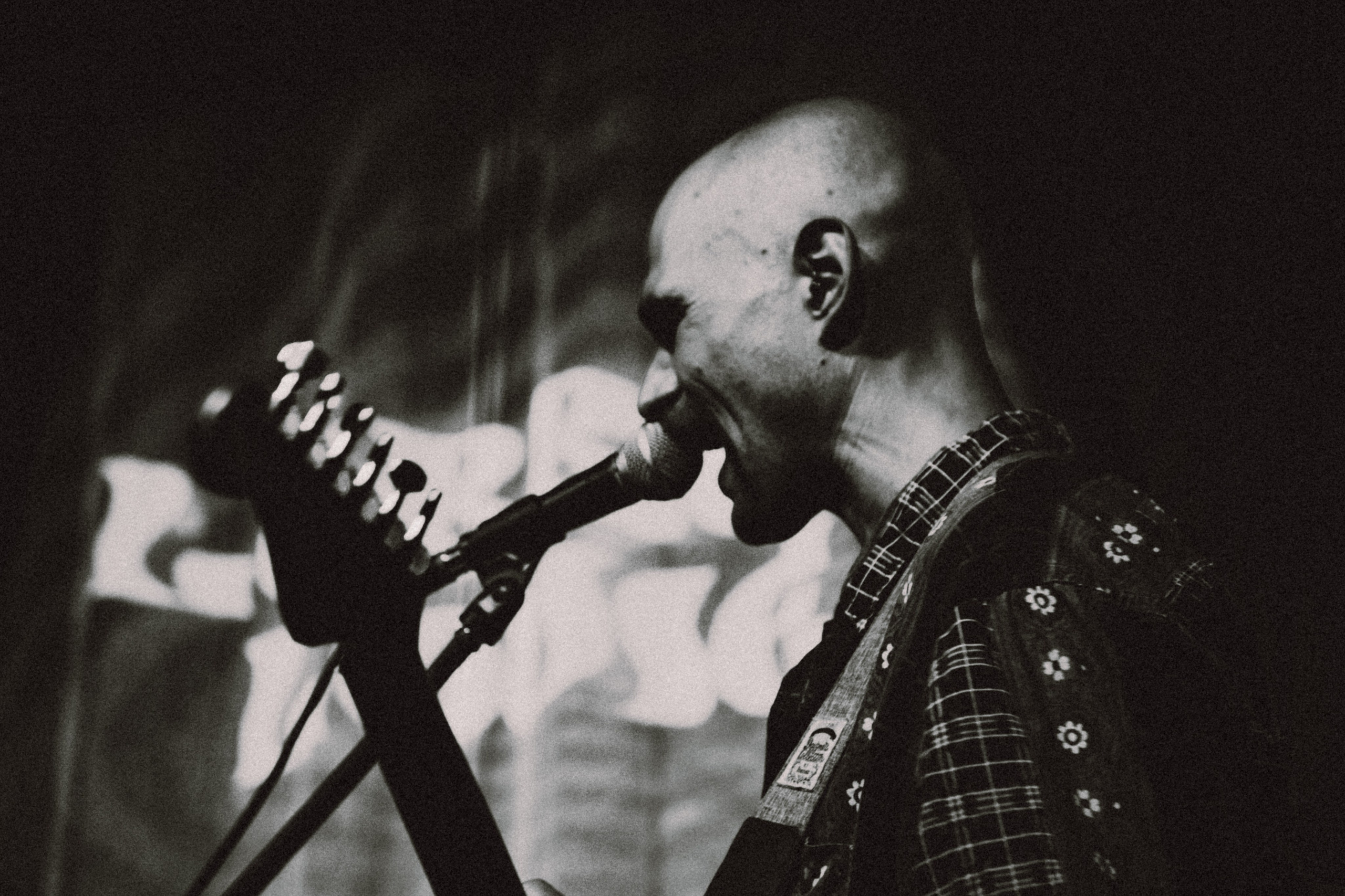 LUBBER LOUIE. Photo by lenozavra