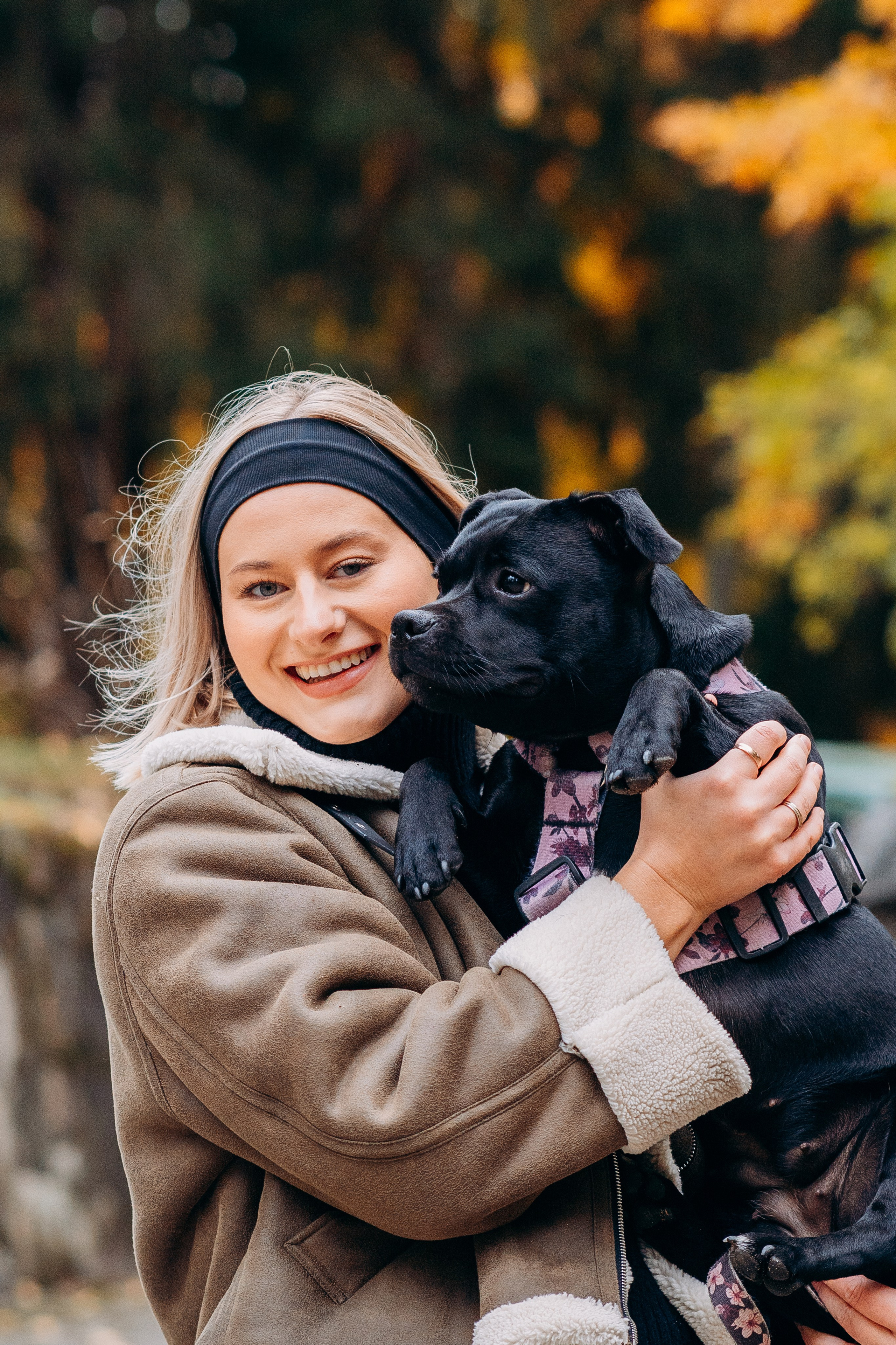 Staffordshire Bull Terriers Meetup. Kat Laisaar — Pet photographer in Tallinn