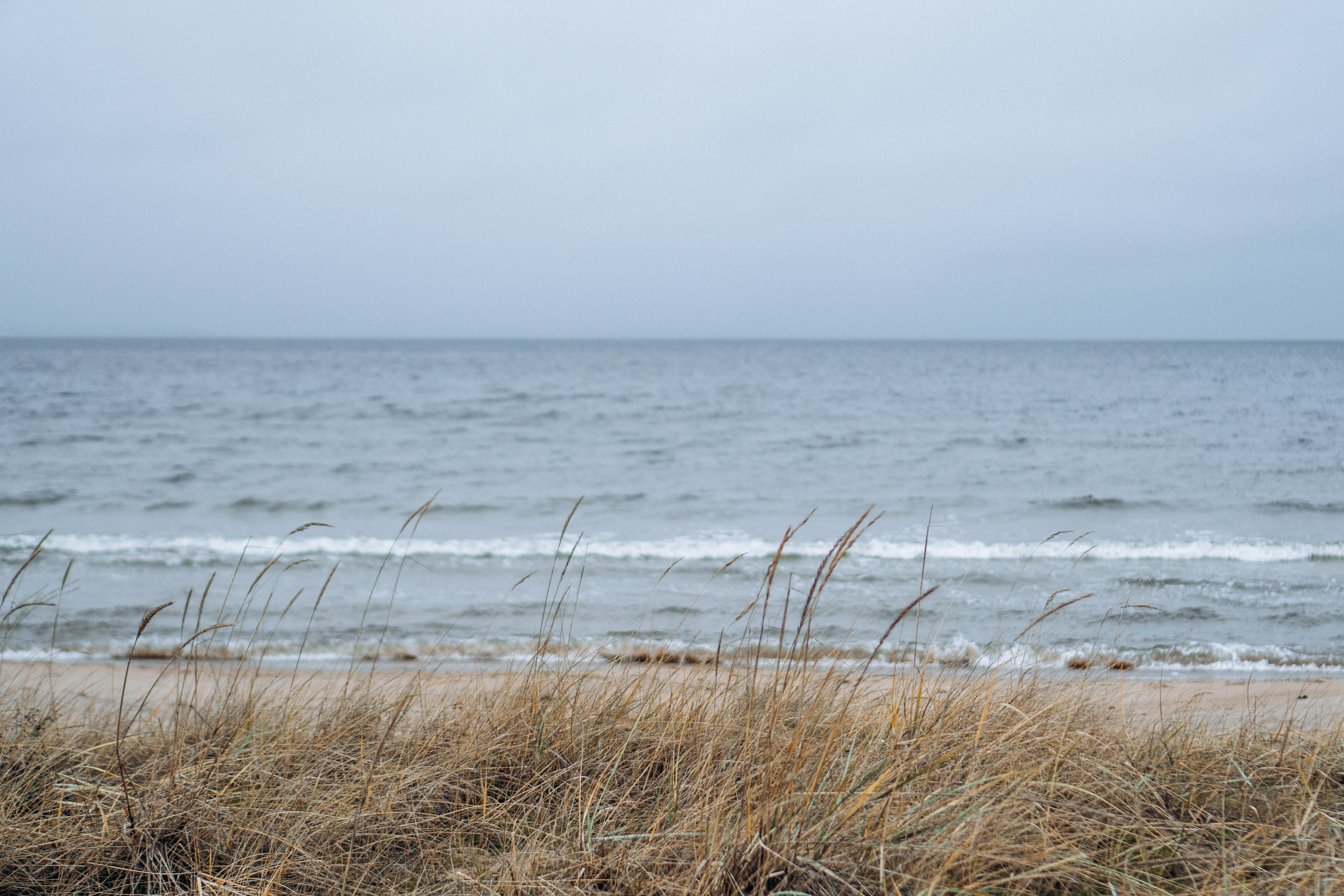 Polina and her Dakota, Australian Cattle Dog. Kat Laisaar — Pet photographer in Tallinn