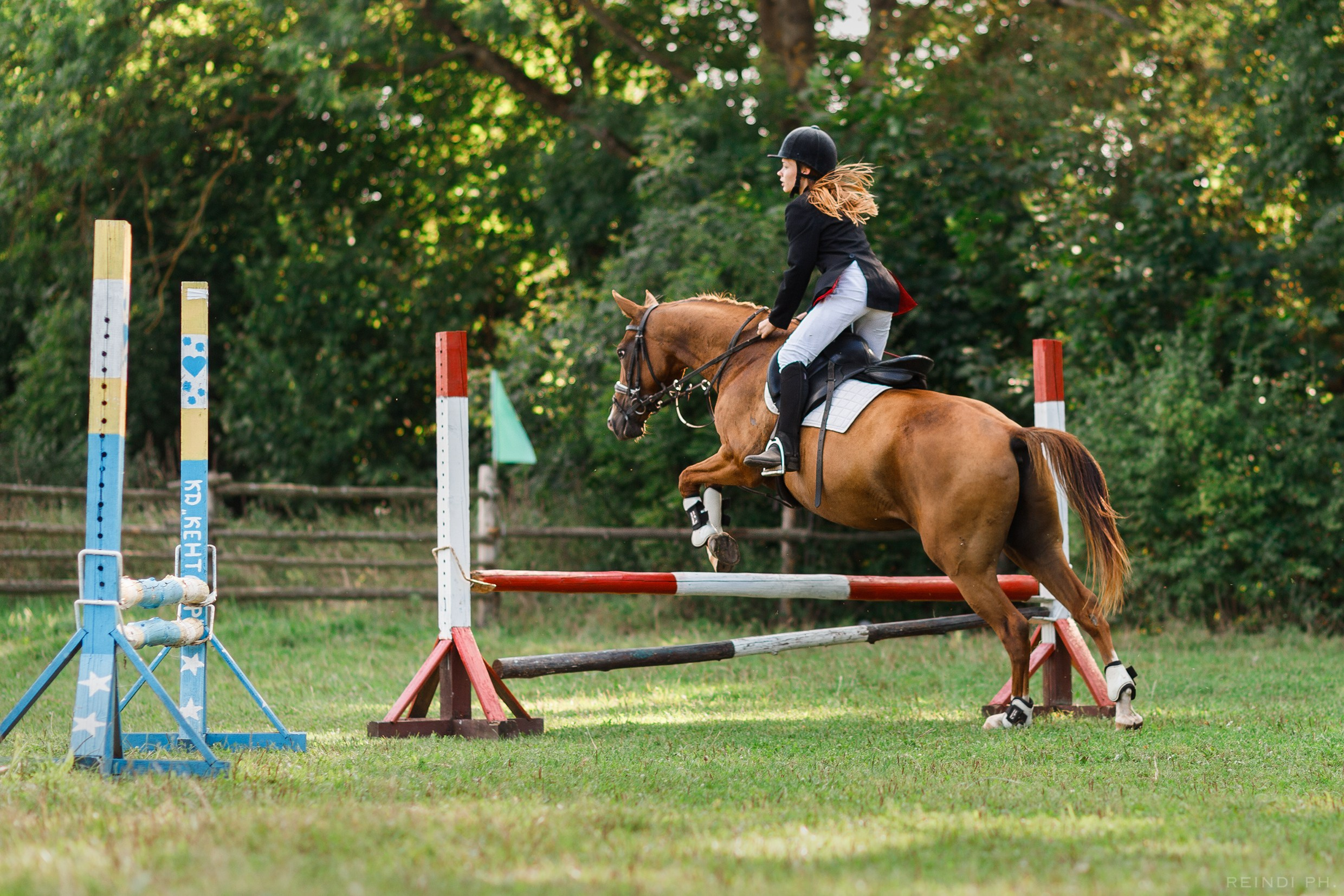 Horse show in the village. Kaja | fotograf we Wrocławiu | ludzie i psy