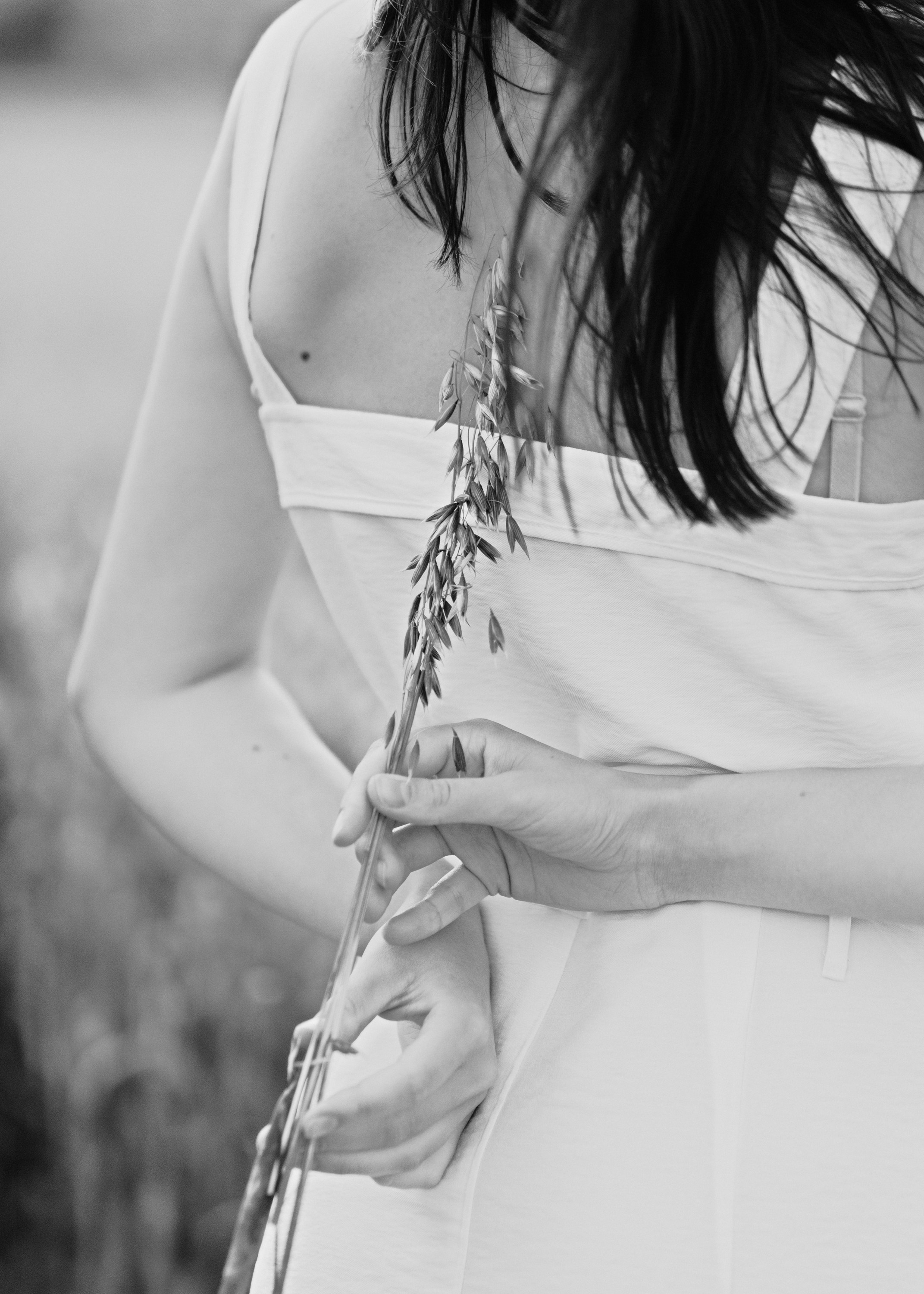 Katya | tenderness in the field. Kaja | fotograf psów we Wrocławiu