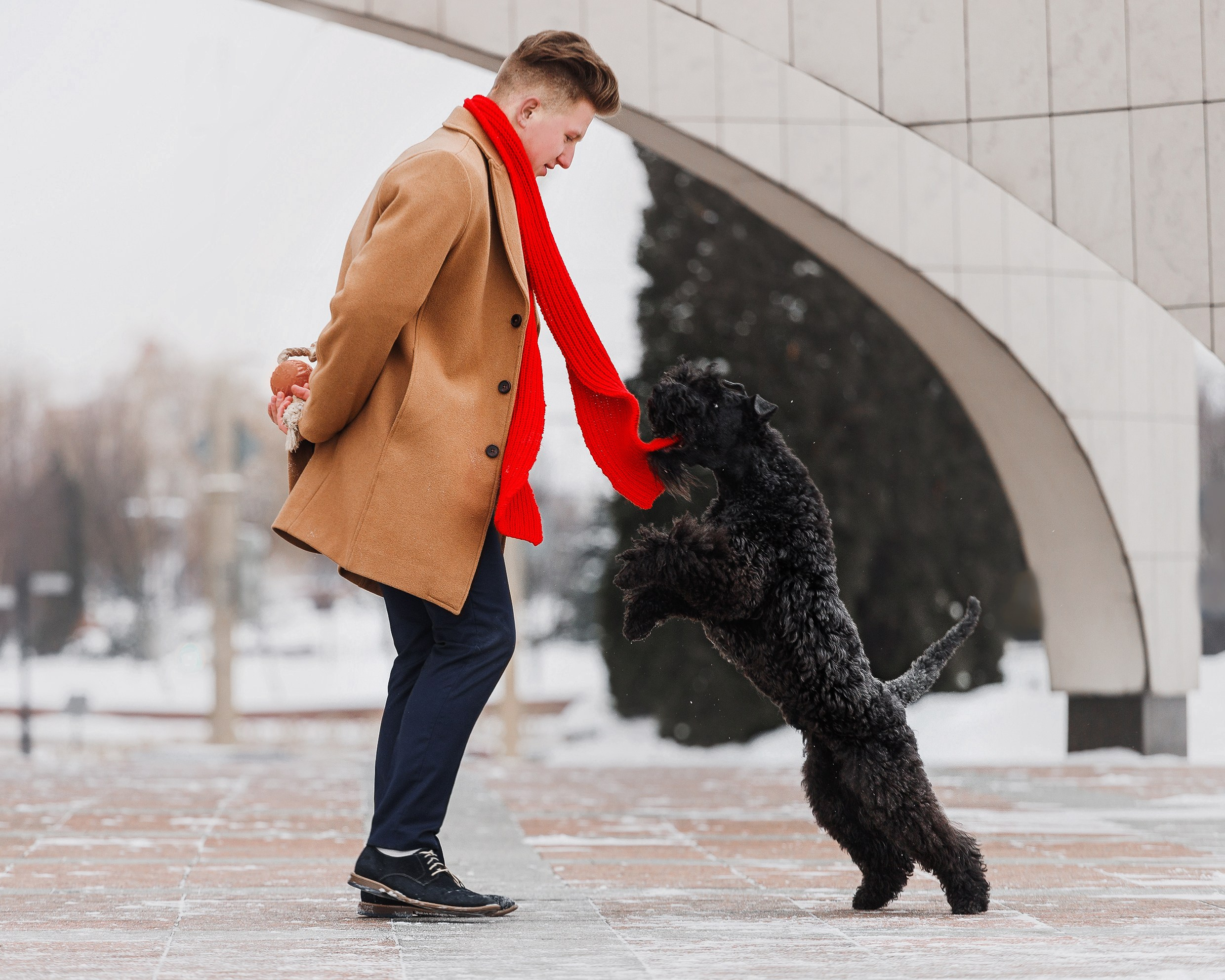 Kerry blue terrier & italian spinone. Kaja | fotograf we Wrocławiu | ludzie i psy