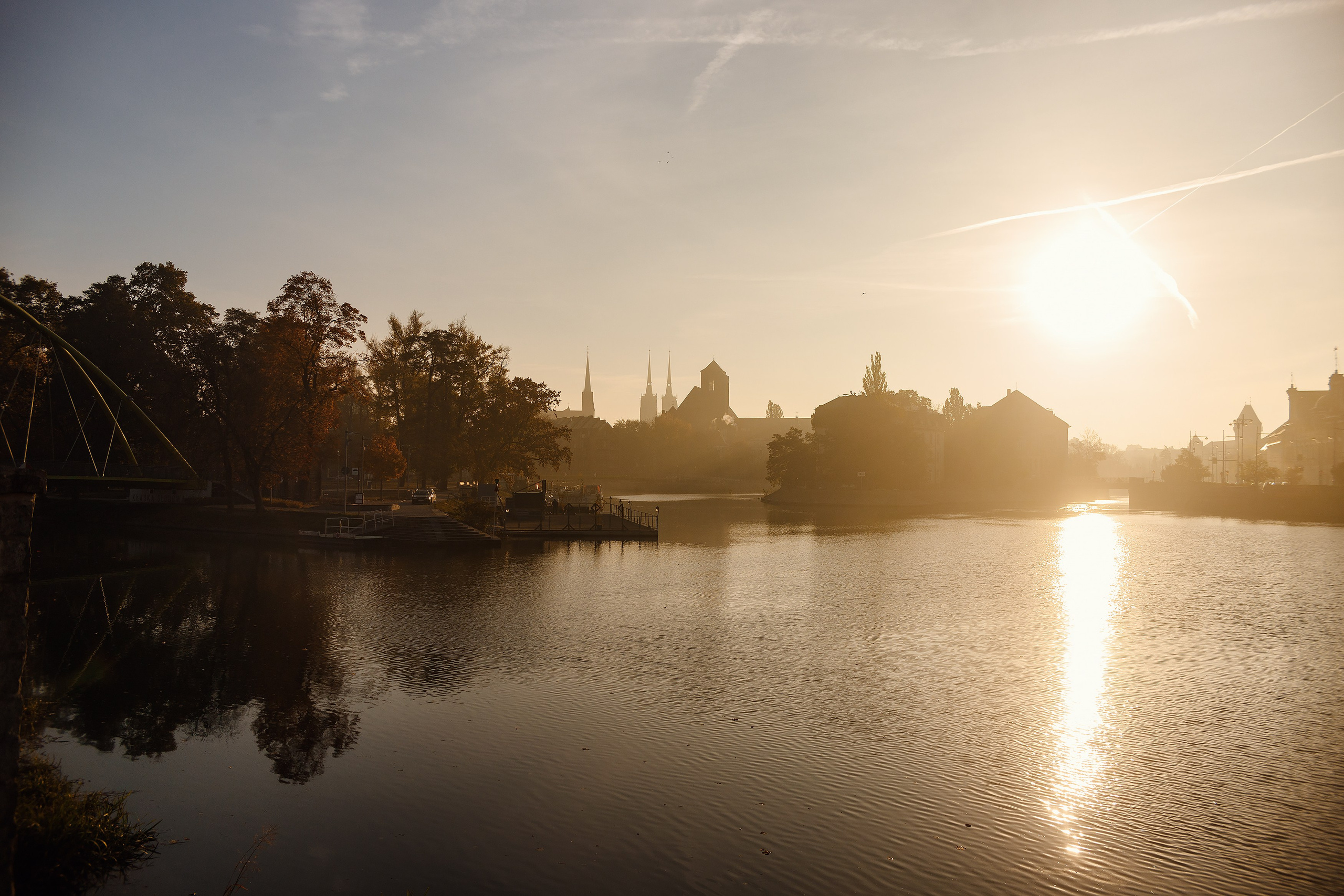 Wroclaw | the best ones. Kaja | fotograf psów we Wrocławiu