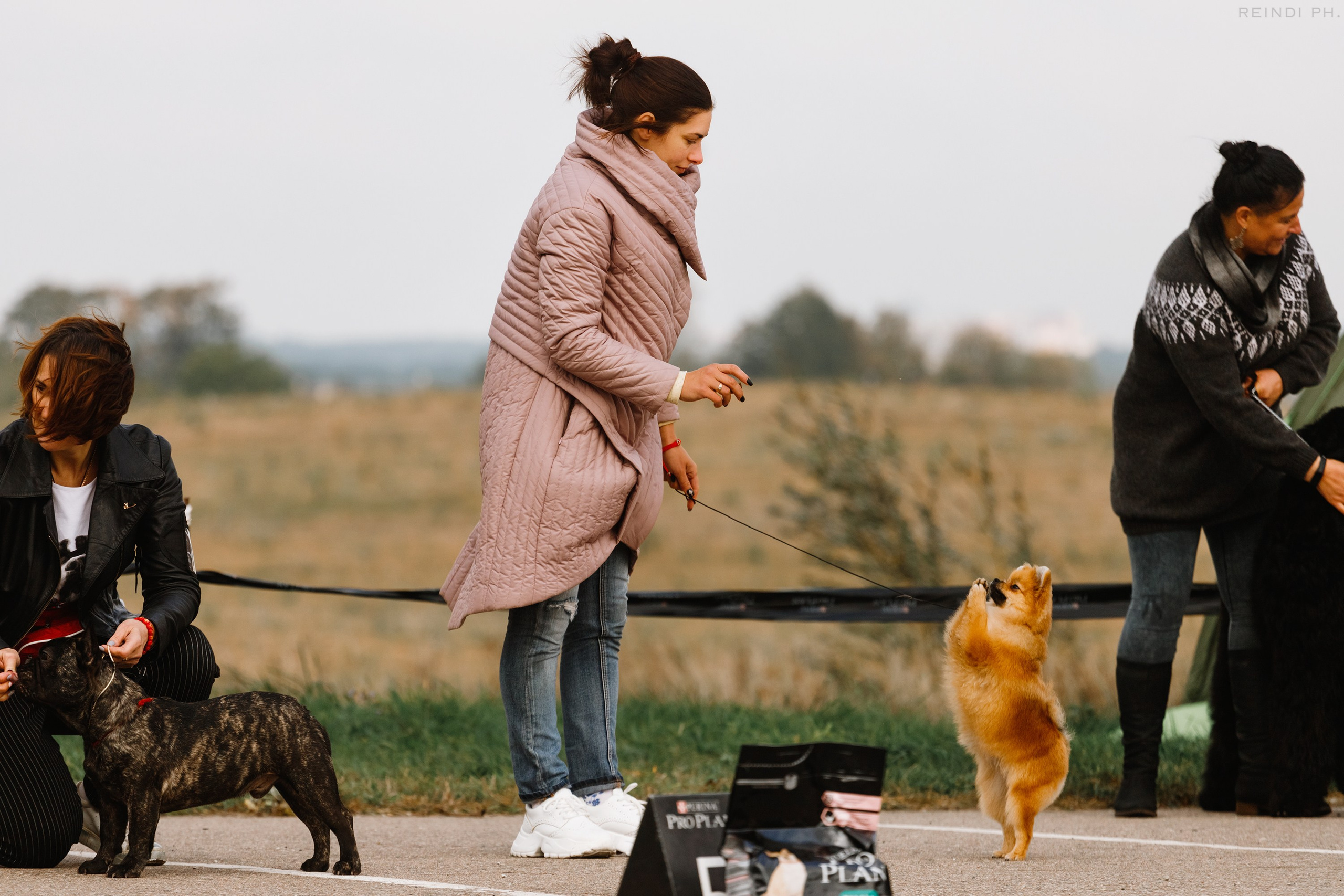 Rainy dog show in Grodno. Kaja | fotograf we Wrocławiu | ludzie i psy