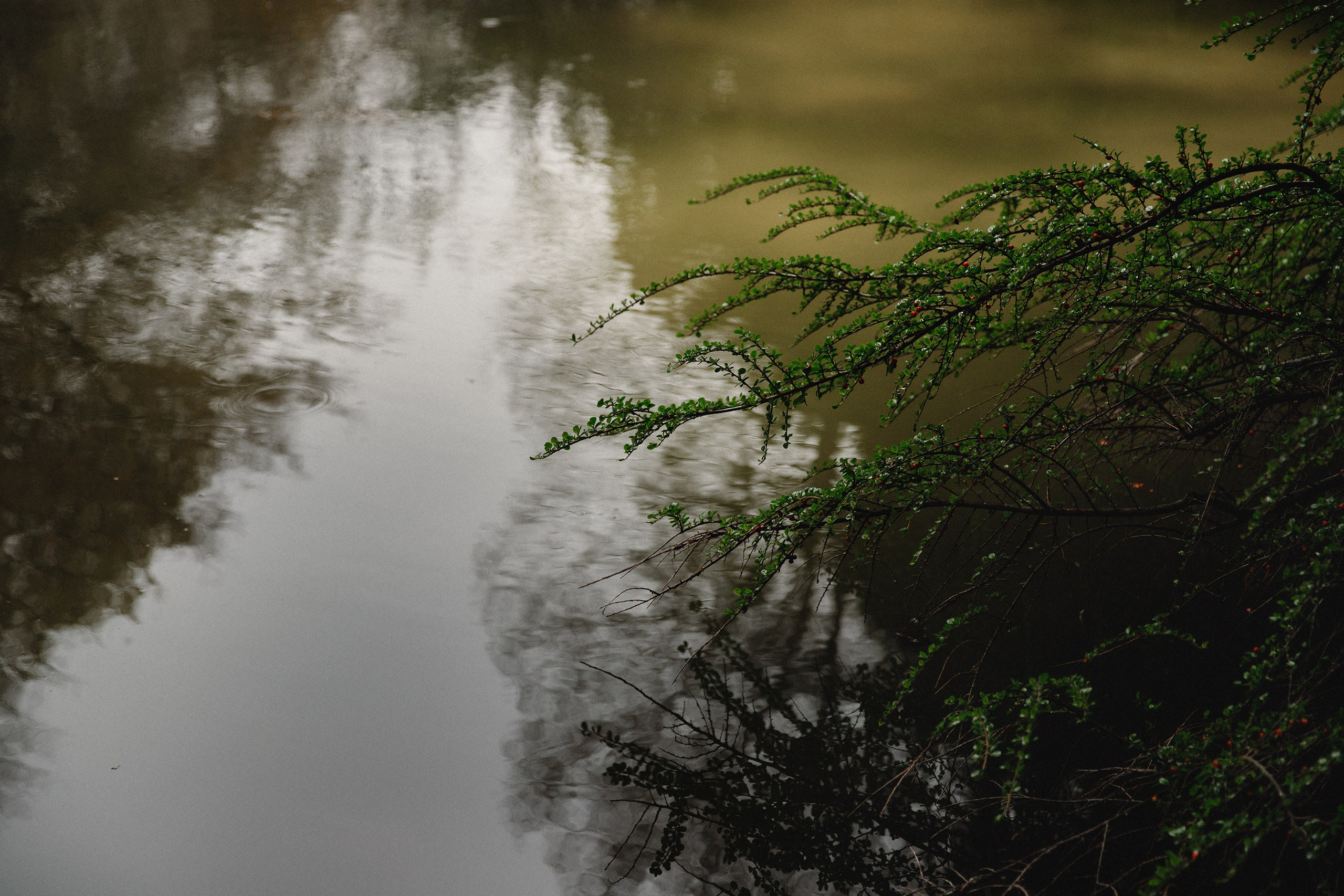 Botanical garden in Wroclaw. Kaja | fotograf we Wrocławiu | ludzie i psy