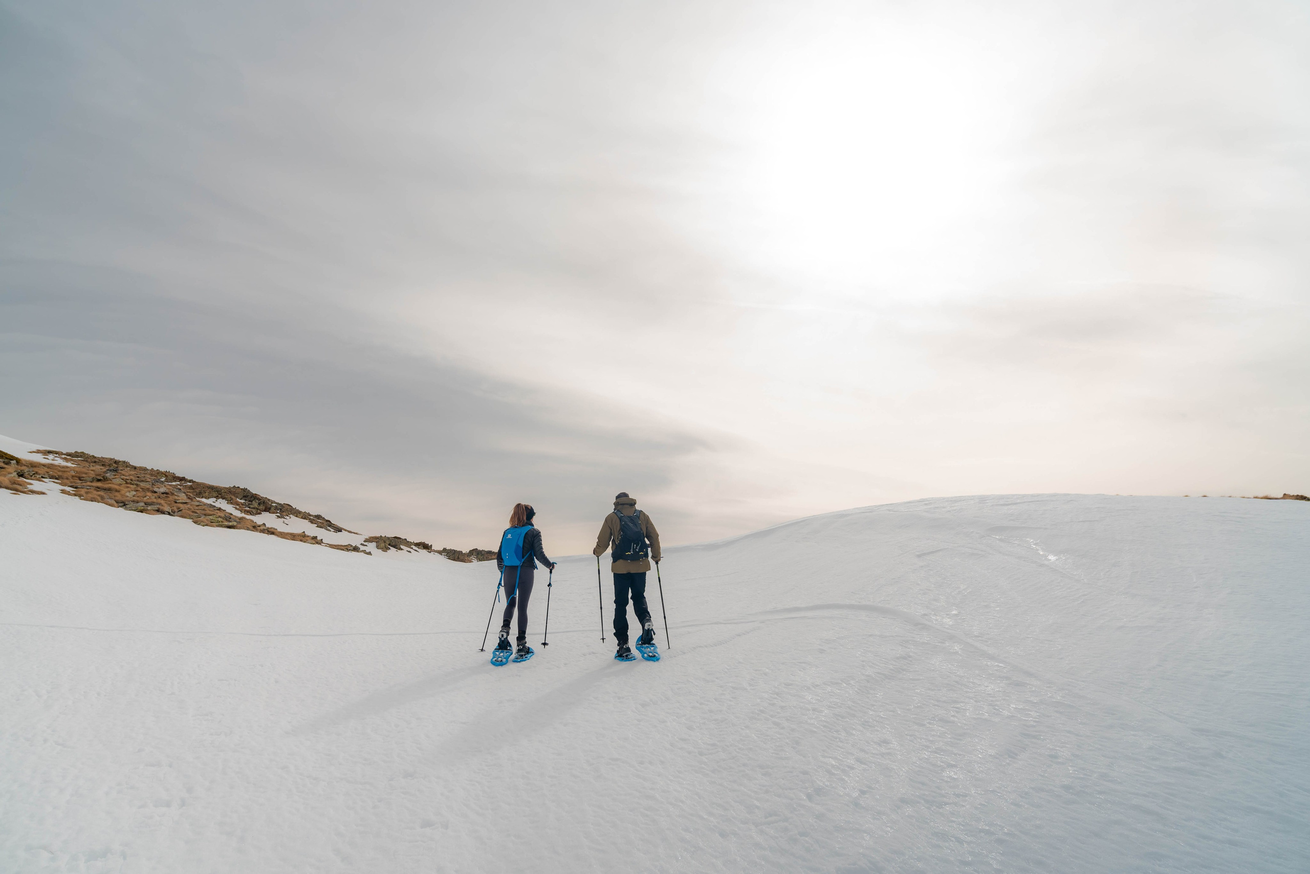 Ruta Comas de Fort. Alba del Norte Studio
