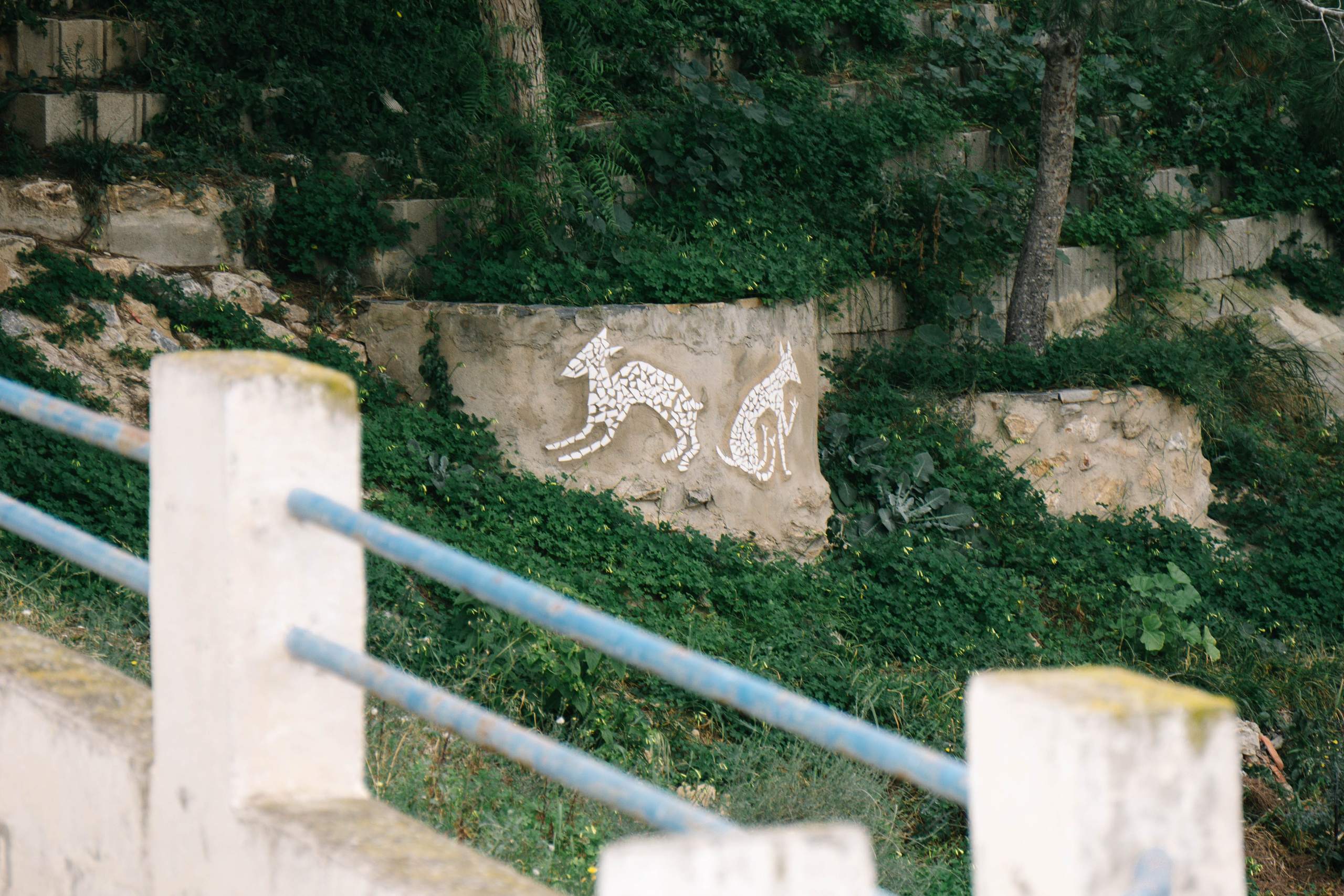 Rojales. Alba del Norte Studio