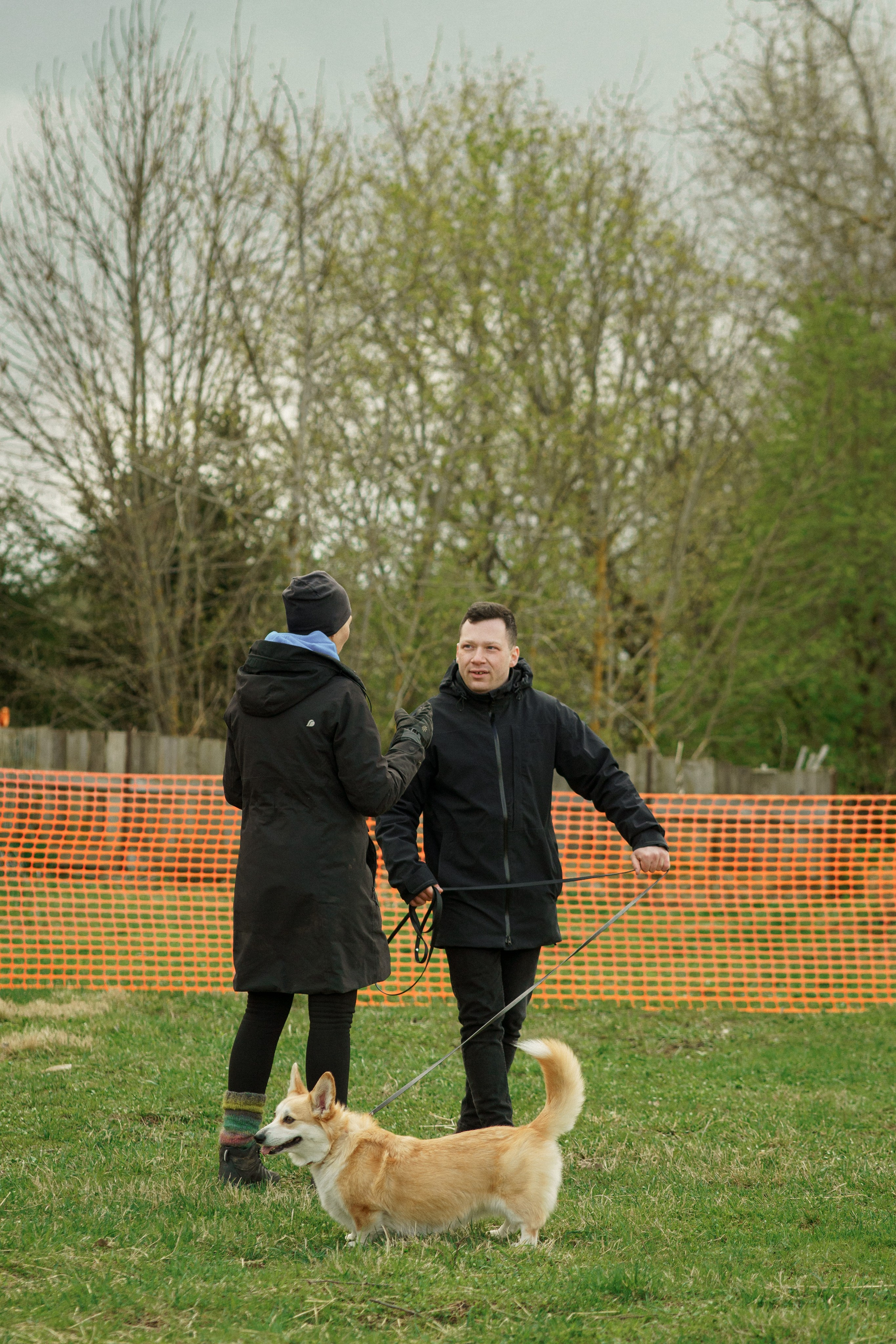 Herding Days, 26 apr. 2025. Kat Laisaar — Pet photographer in Tallinn