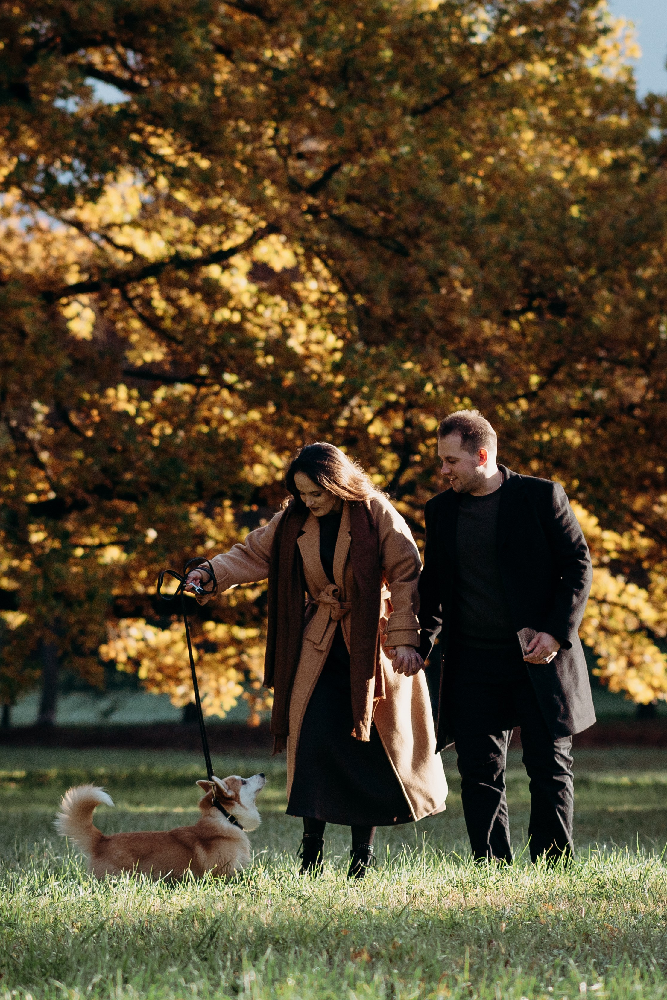 Liisa, Alexander & Marsel. Фотограф-анималист в Таллинне, Катя Лайсаар